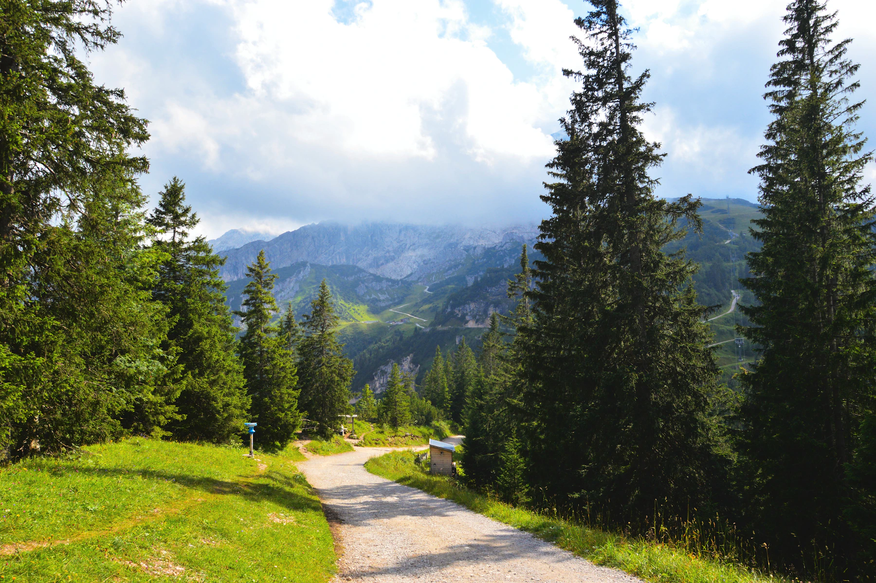 Hiker walking a mountain trail through forest