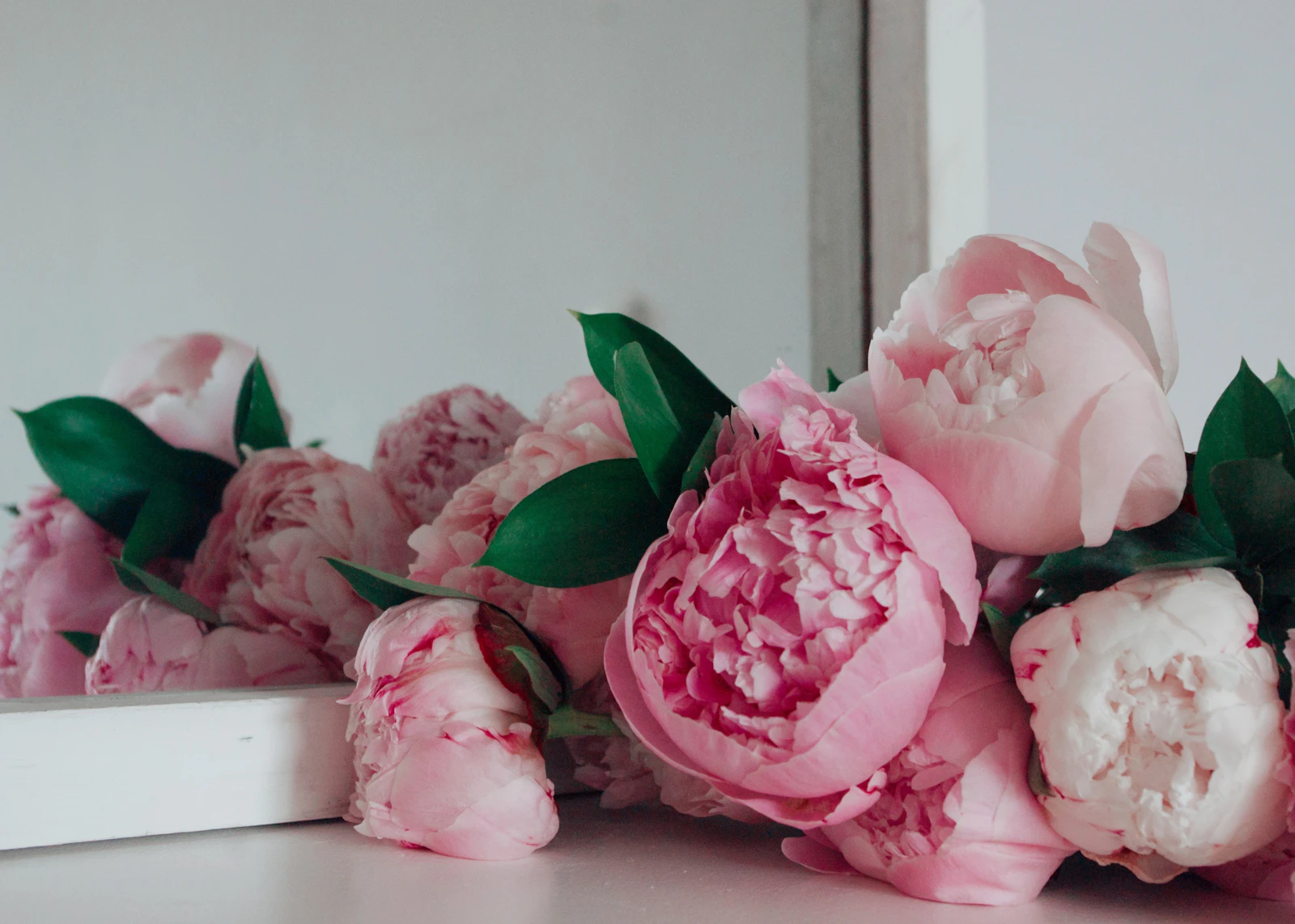 Pink and white flowers in a vase