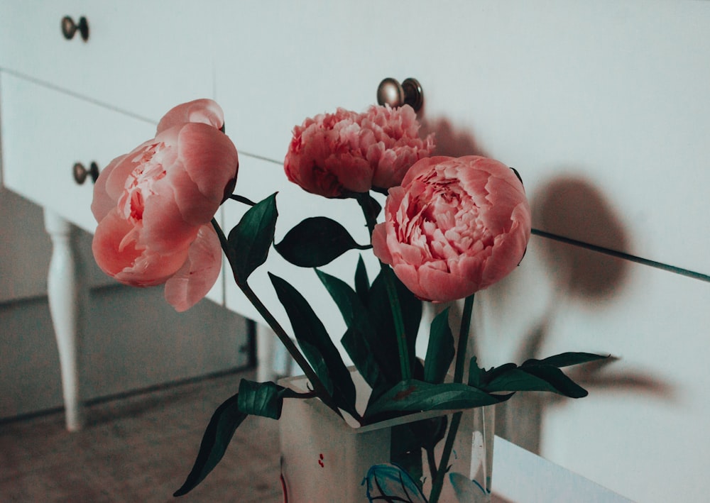 pink roses in white ceramic vase