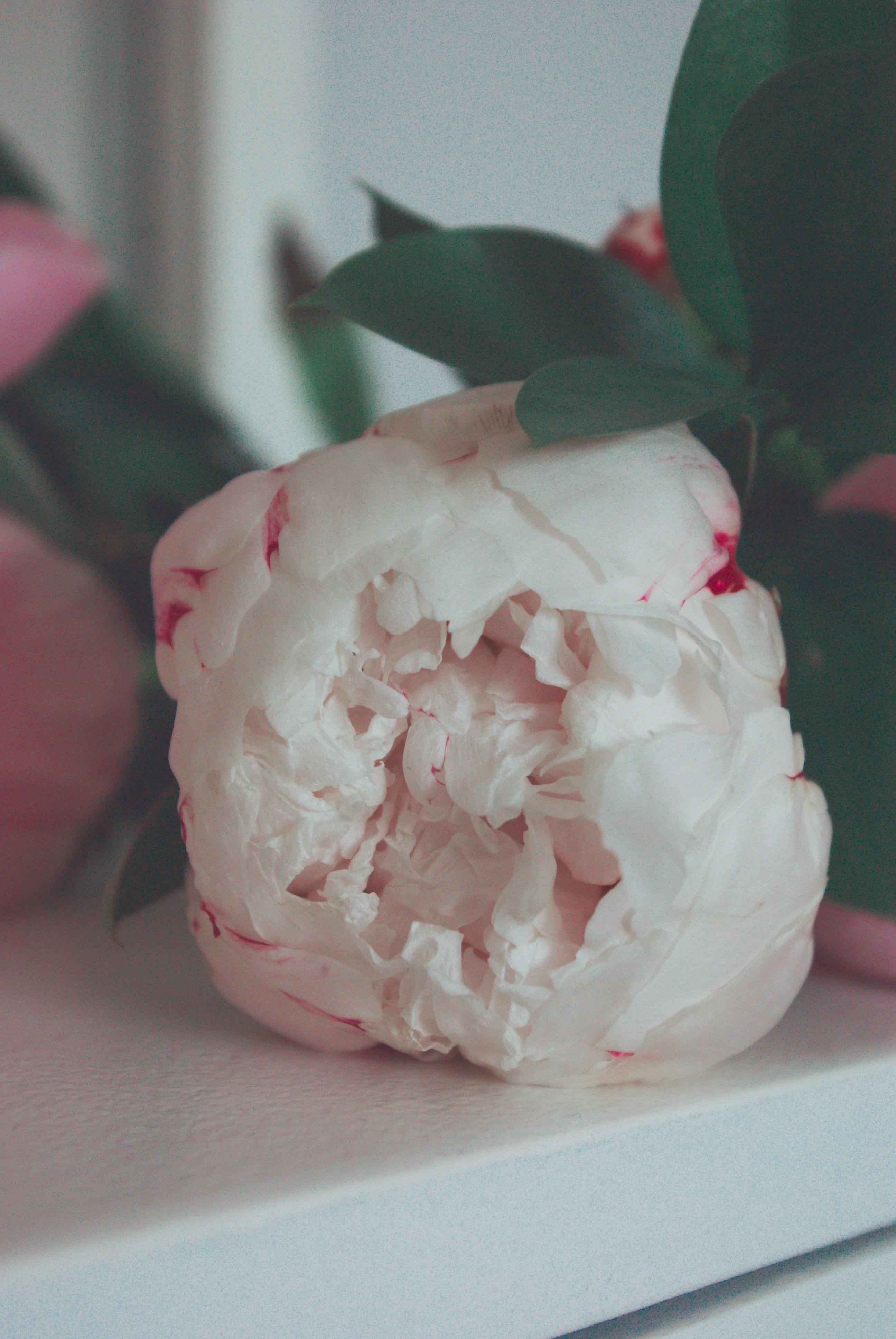 Photo by moonmoons_days