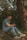 A man reflecting thoughtfully in a peaceful outdoor setting.