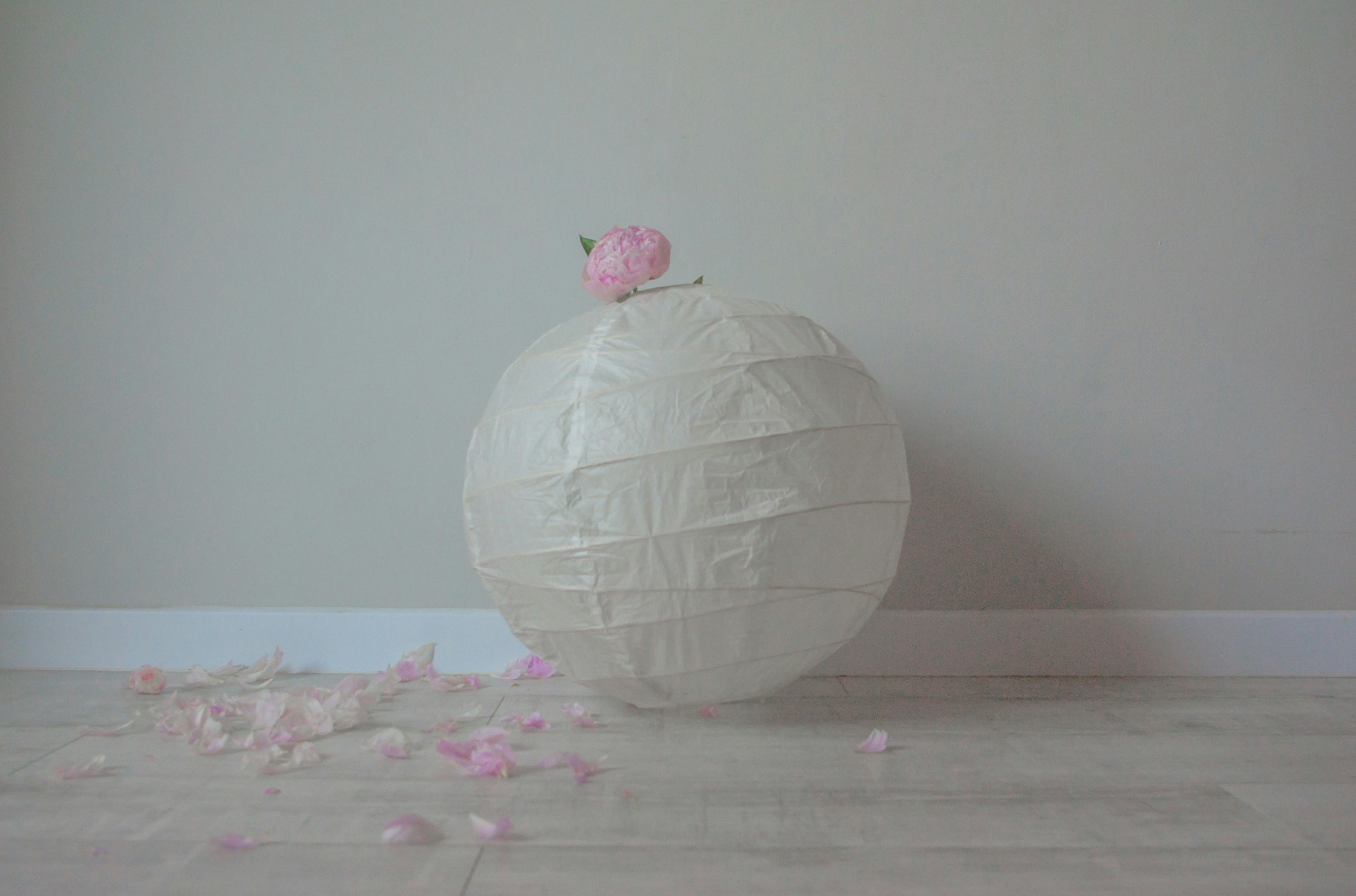 white and pink floral egg ornament