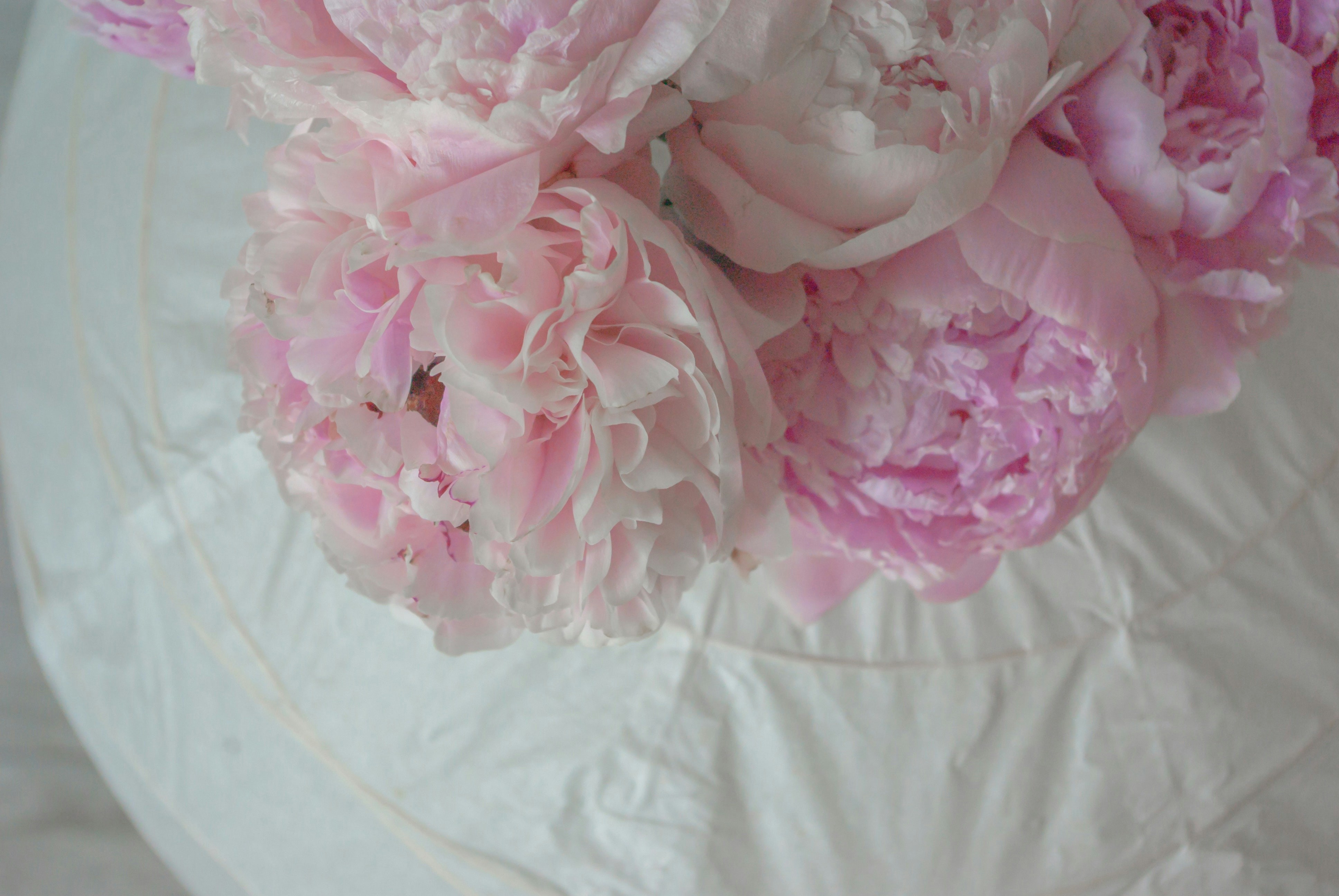 Photo by moonmoons_days