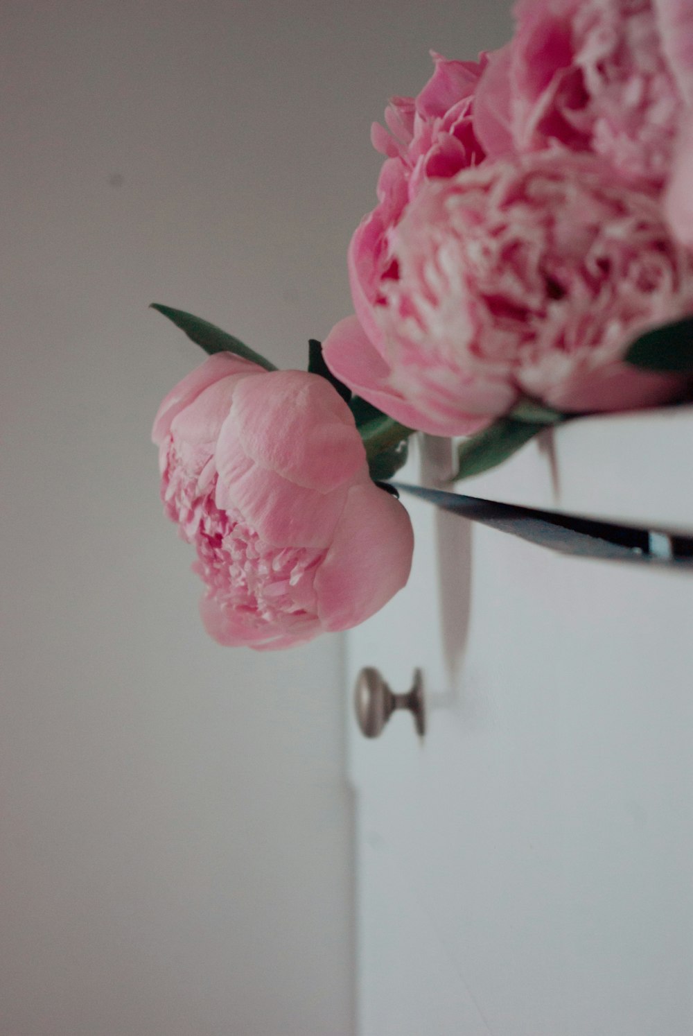 Rose rose dans un vase en verre transparent