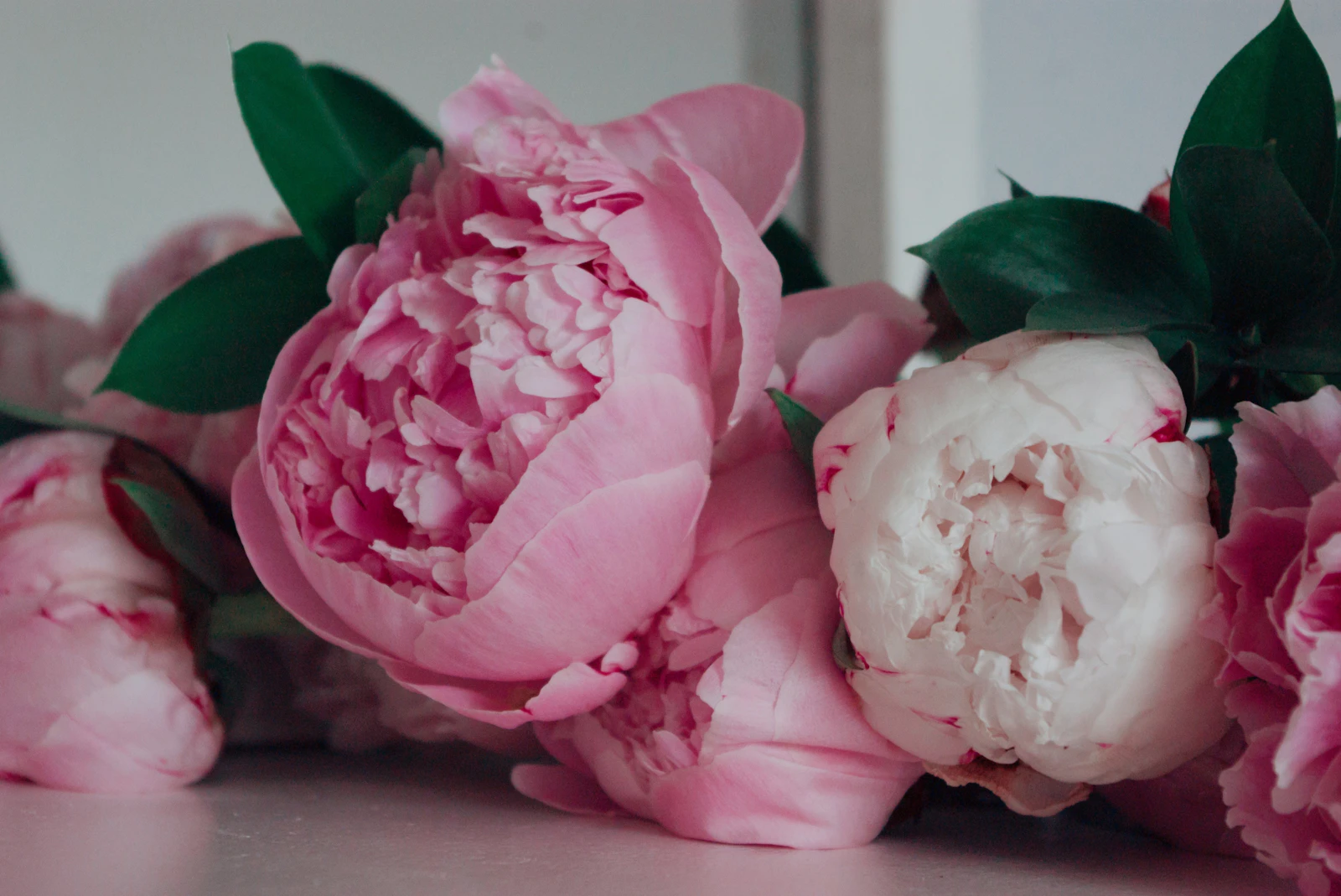 The Monthly floral arrangement