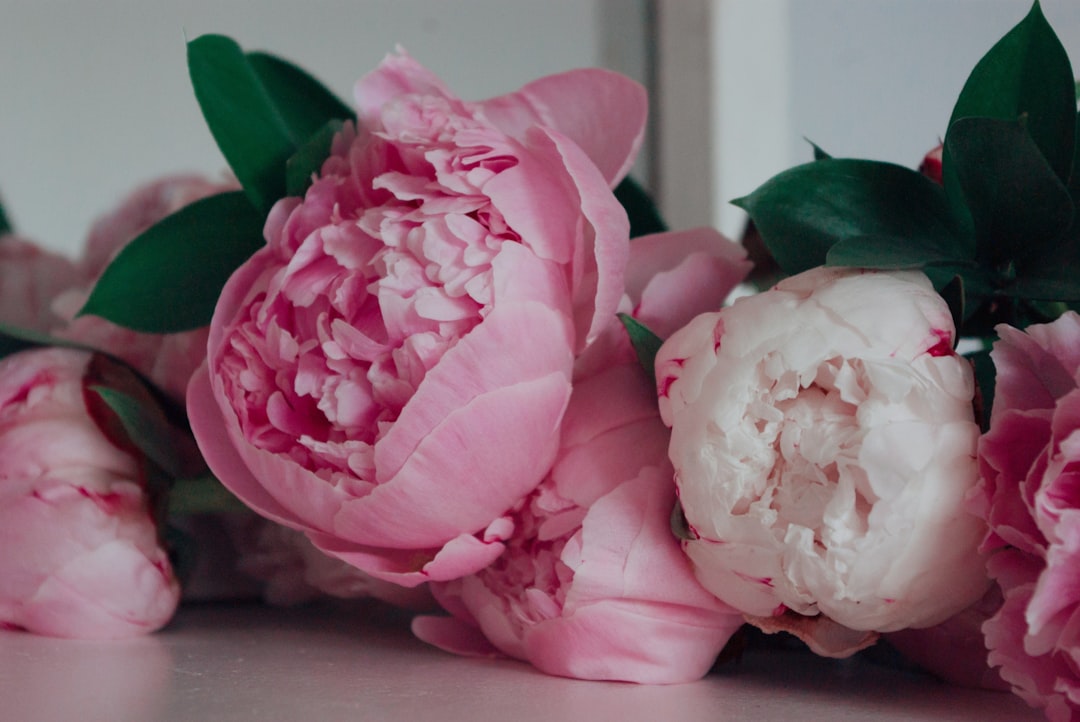 pink and white flower bouquet