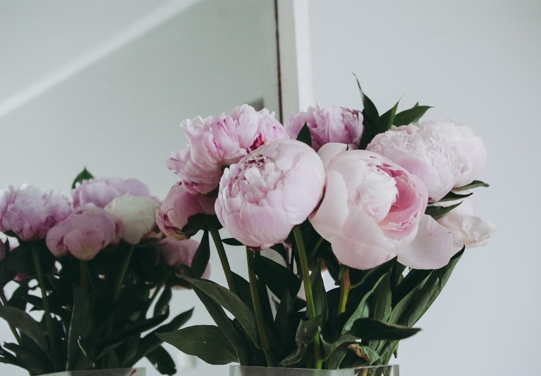 pink roses in clear glass vase