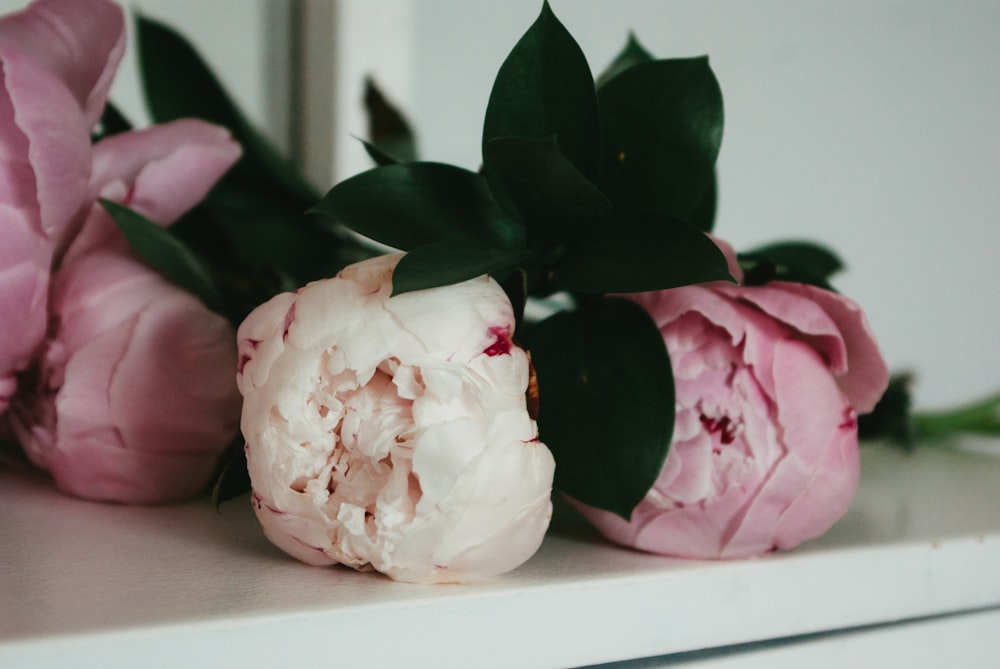 white and pink roses on white table