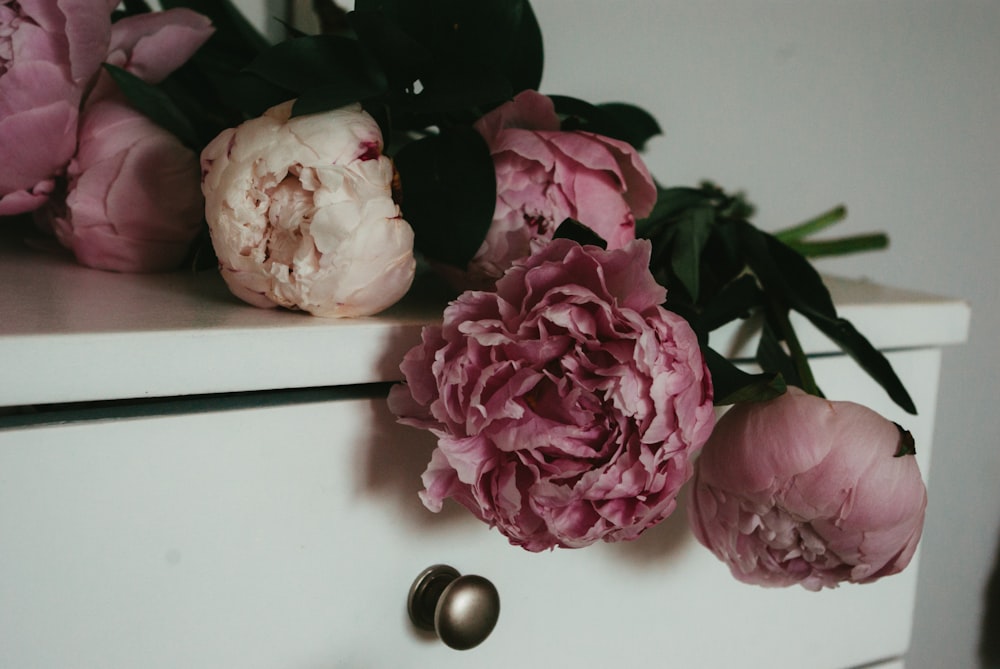 白いテーブルの上にピンクのバラ