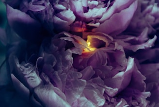 Delicate heart radiating gentle pink and green light surrounded by soft petals.