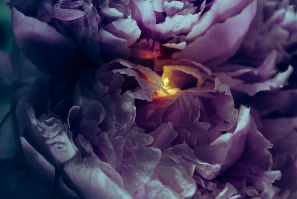 Handcrafted Glass Bloom
