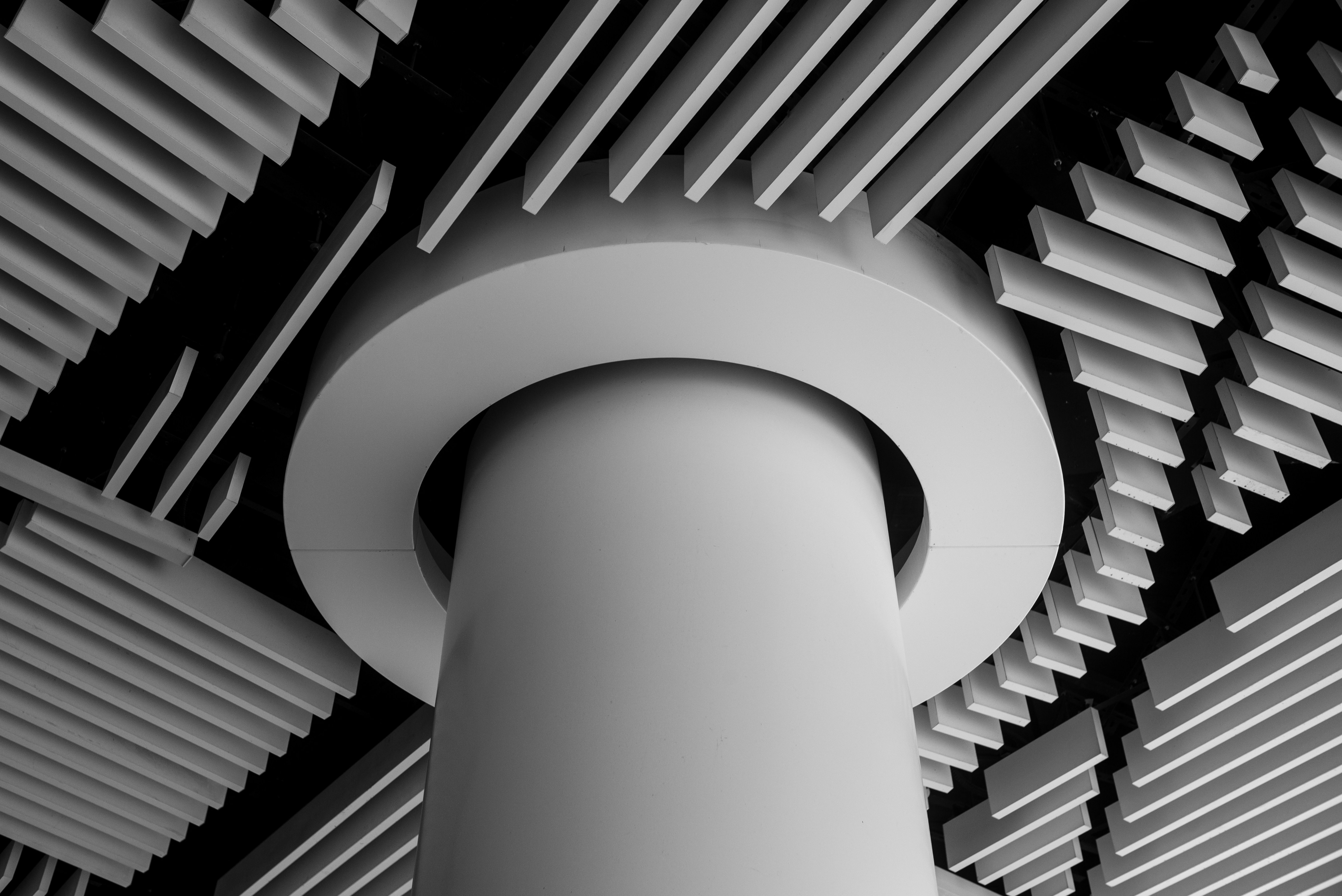 Illustration of a VPS hosting security shield