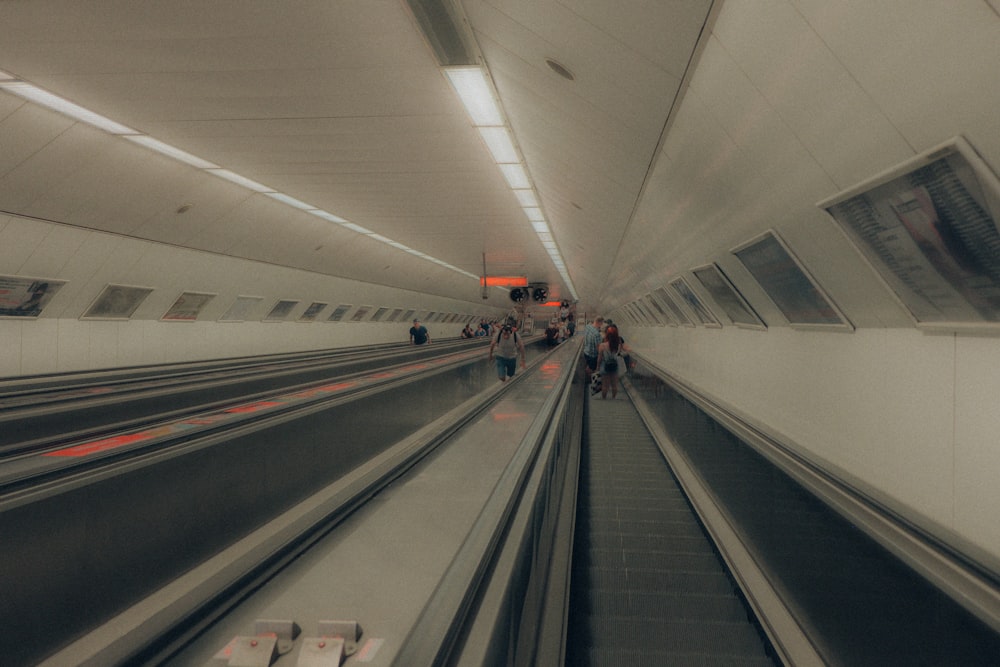 people walking on train station