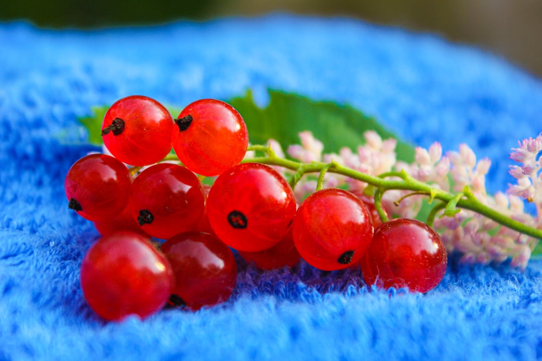 red round fruits on blue textile