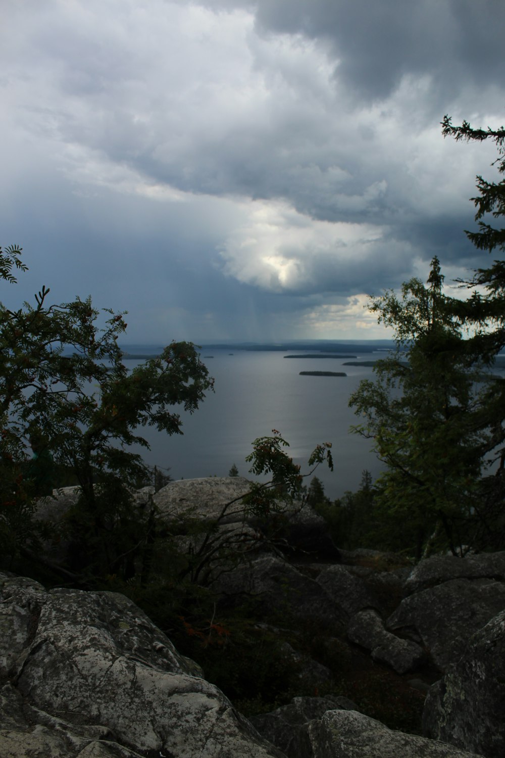 green trees near body of water under cloudy sky during daytime