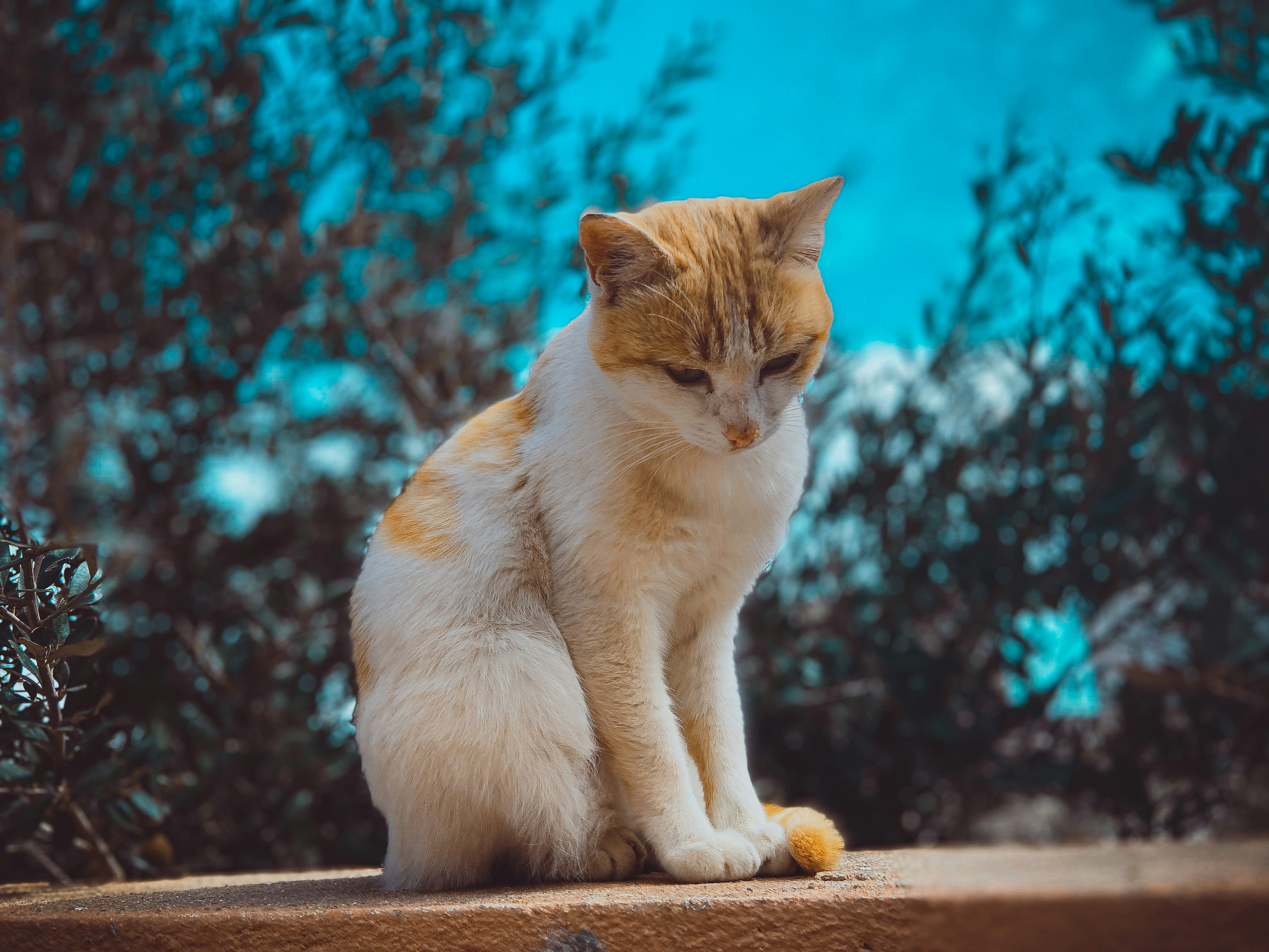 Photo by mohammedyousif