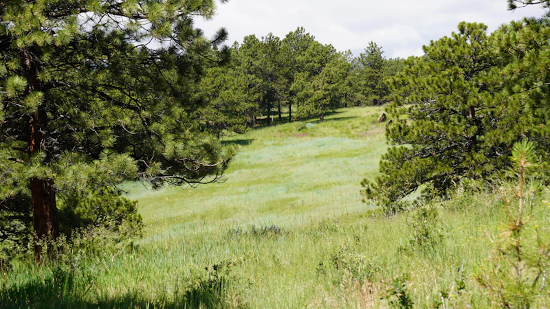 Blackwolf Run (Meadow Valleys)