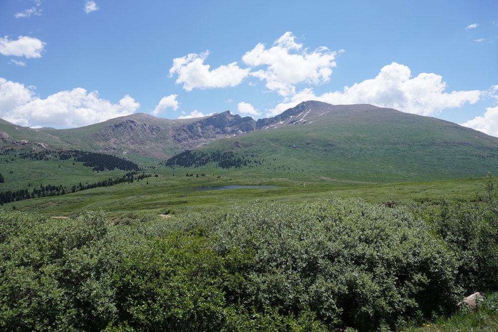 green grass field and mountains under blue sky during daytime