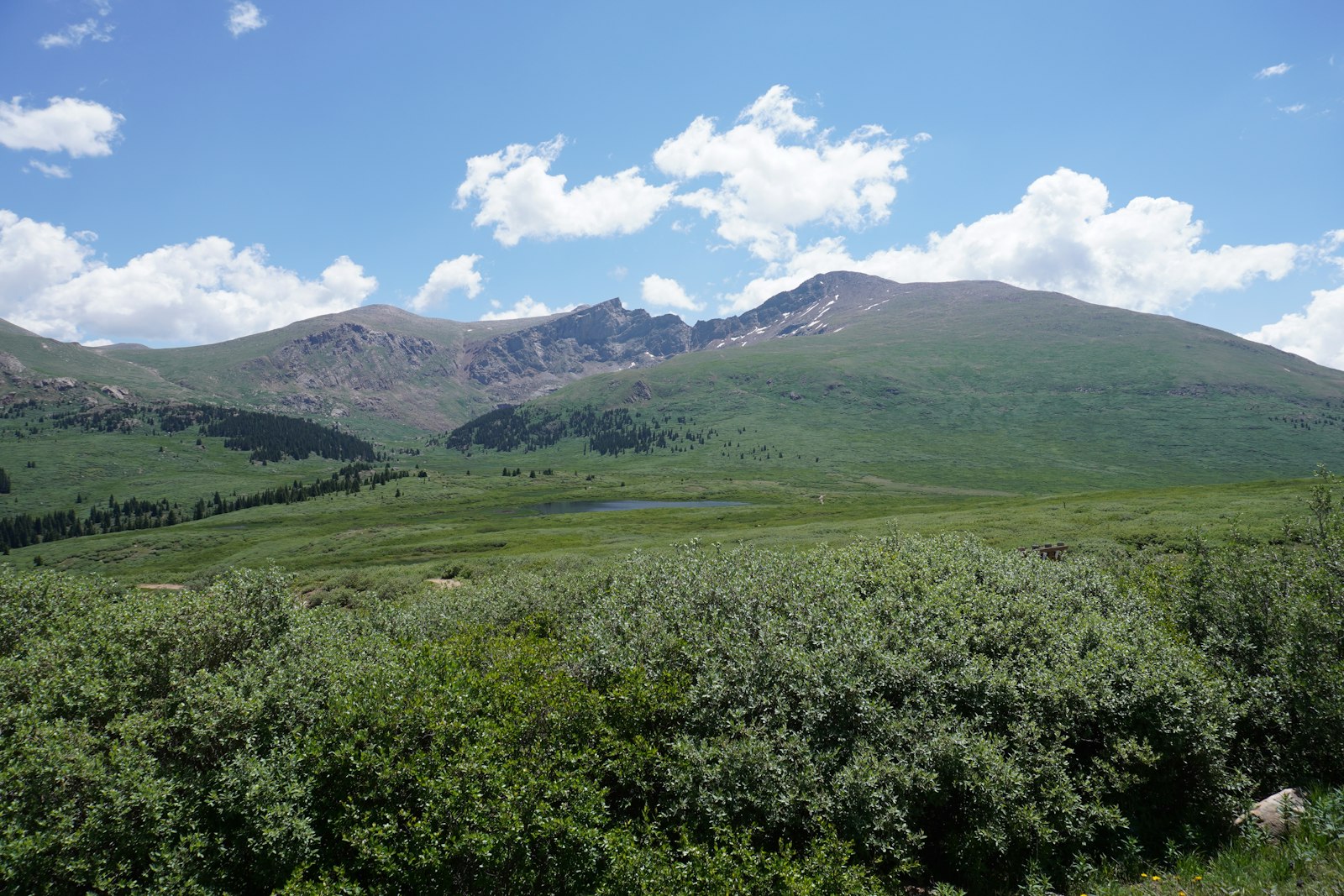 Green willow flats and scattered ponds below rounded grassy slopes rising to a distant rocky summit