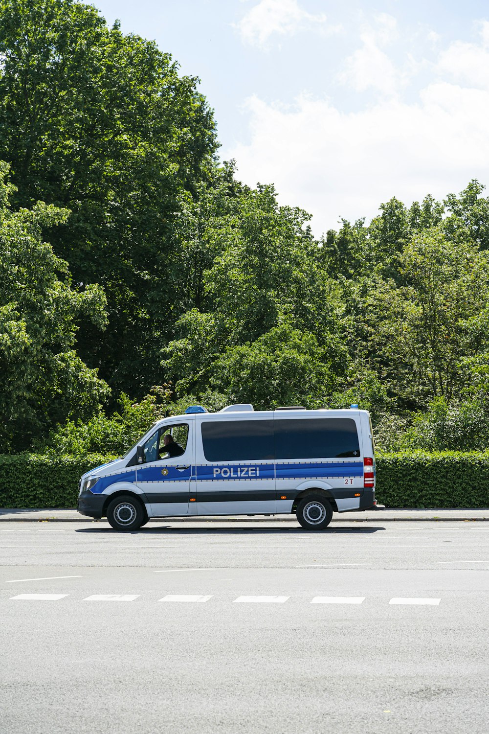 blue and white van on road near green trees during daytime
