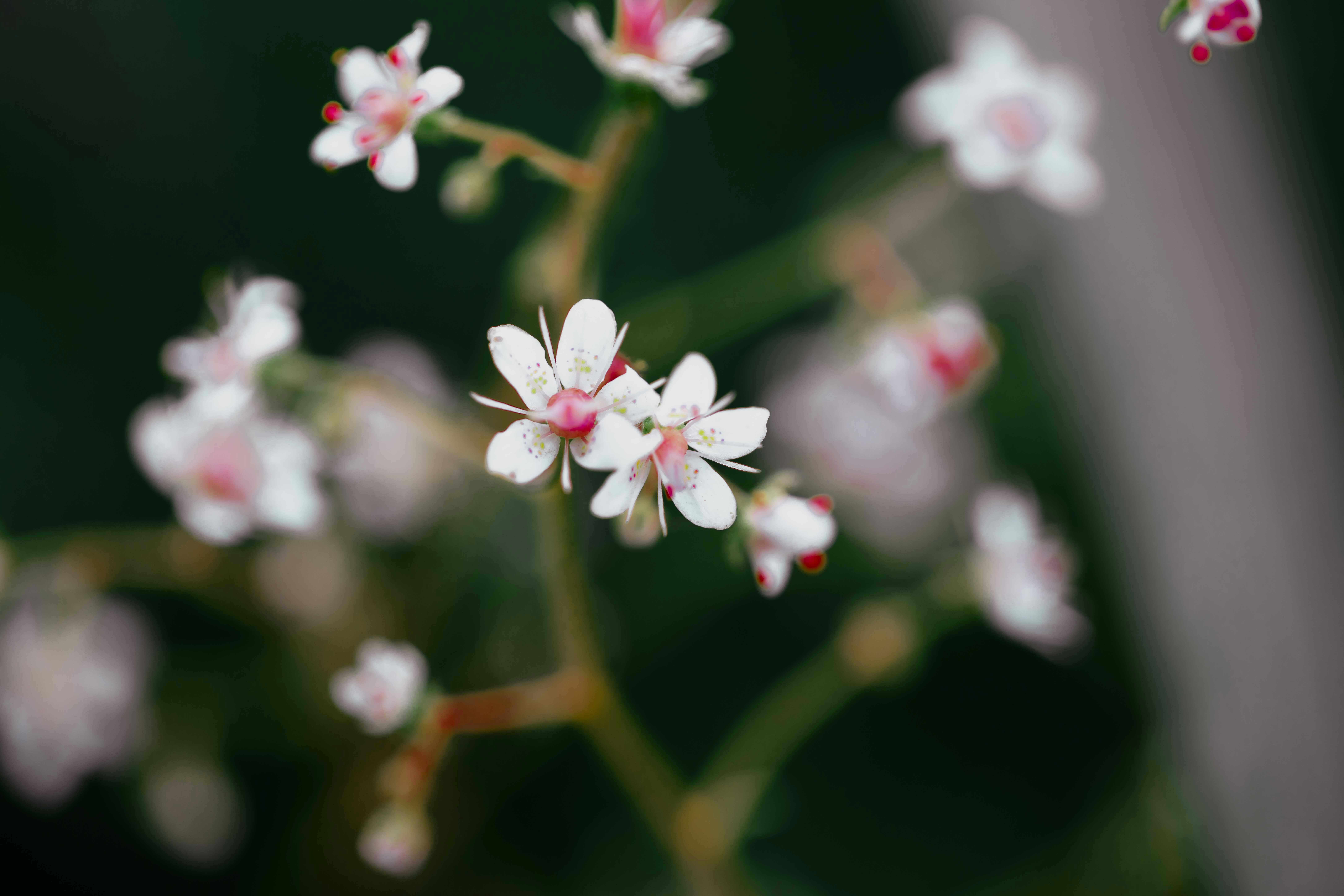 Photo by amylynngrover