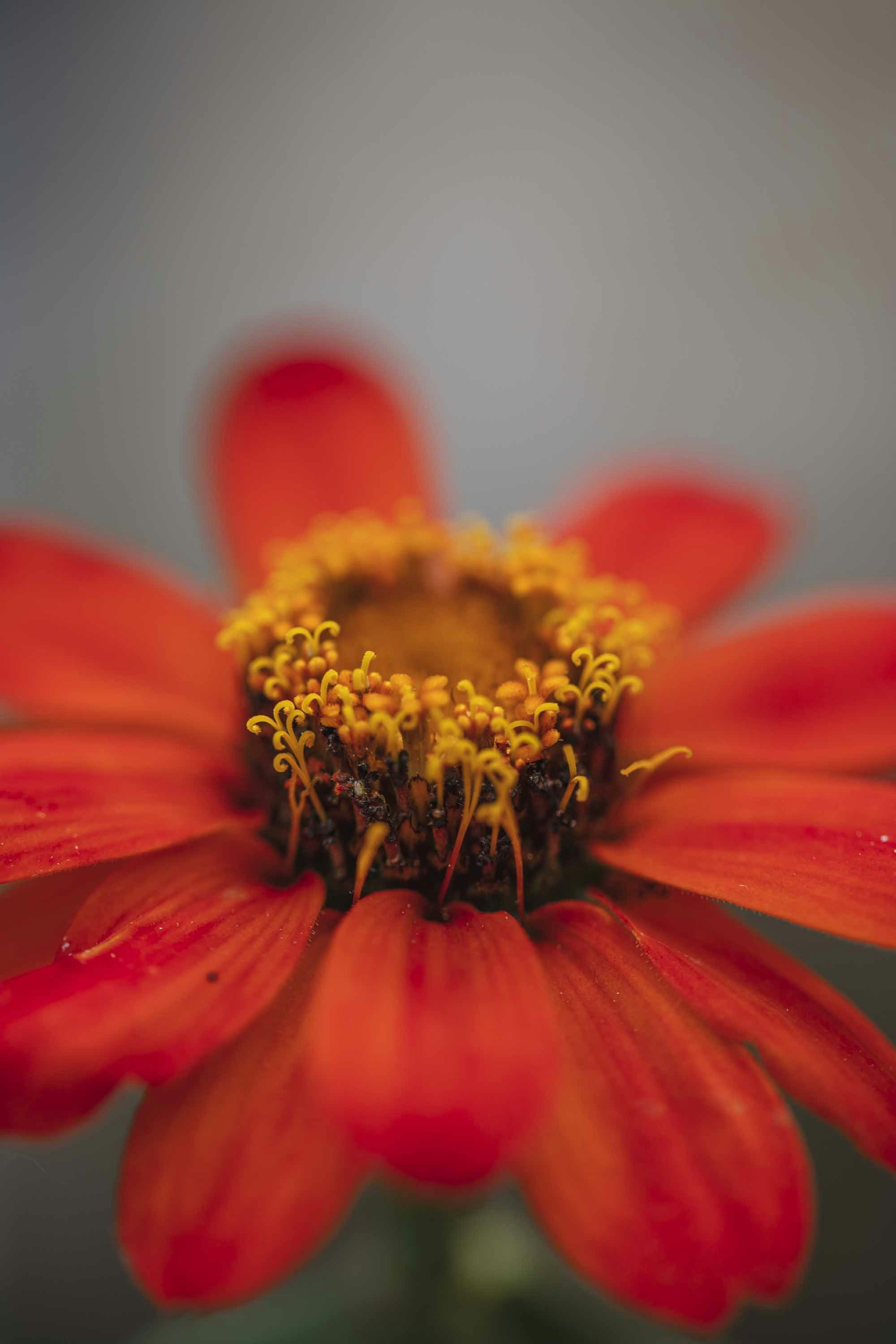 Photo by amylynngrover