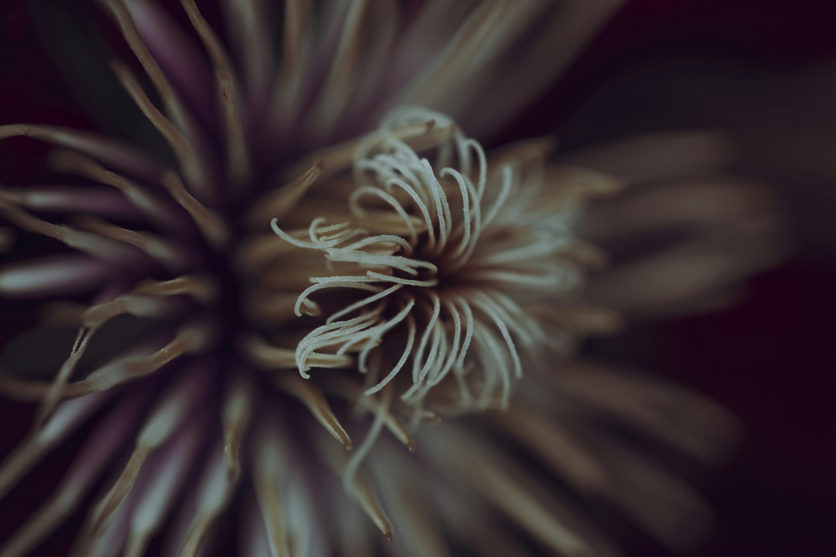 Photo by amylynngrover