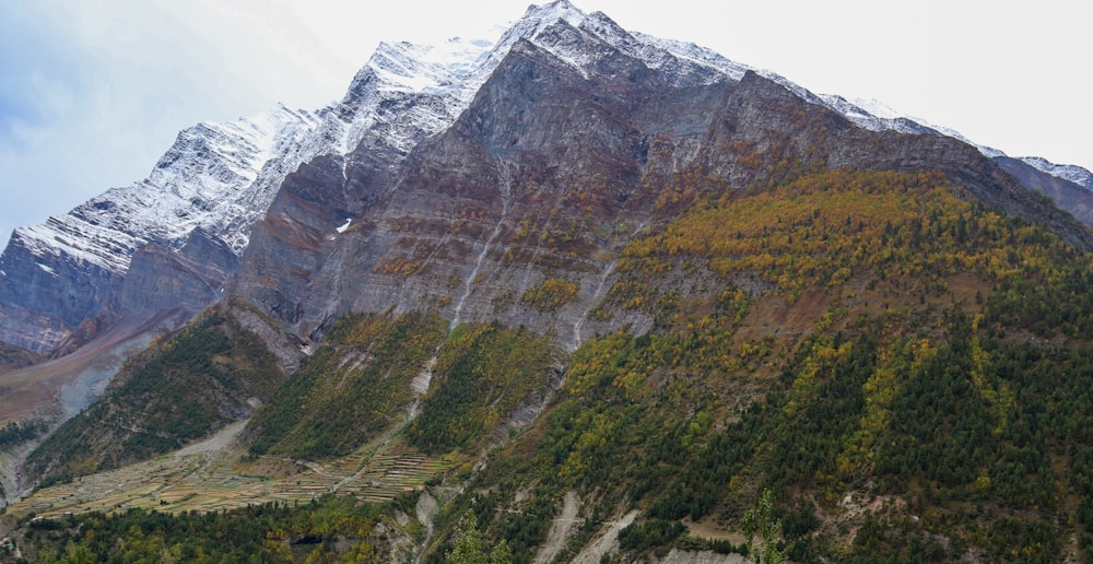 grüner und brauner Berg tagsüber unter weißem Himmel