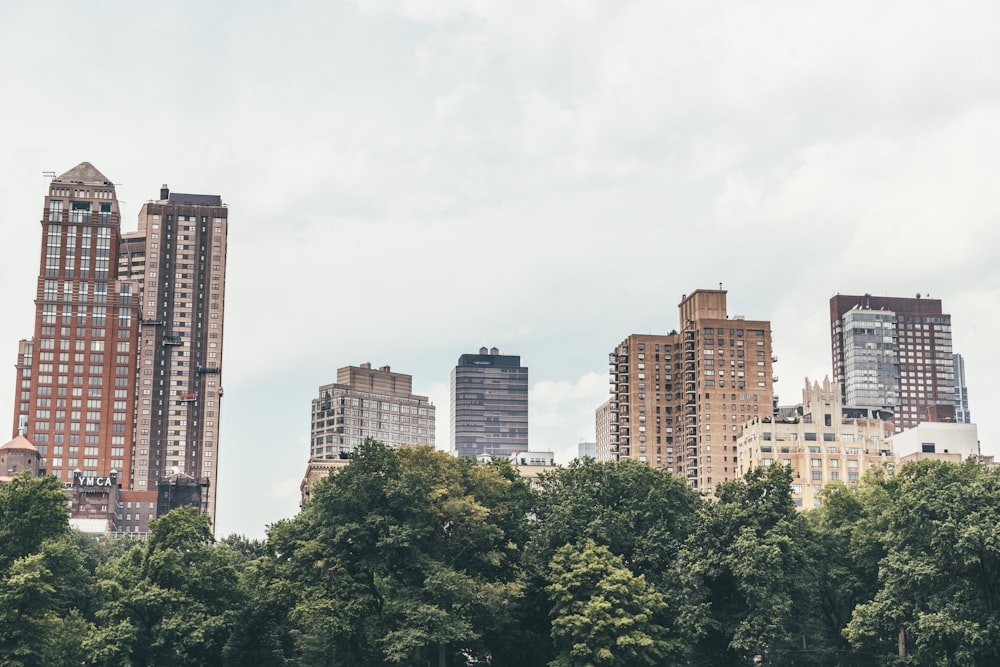 green trees near high rise buildings during daytime