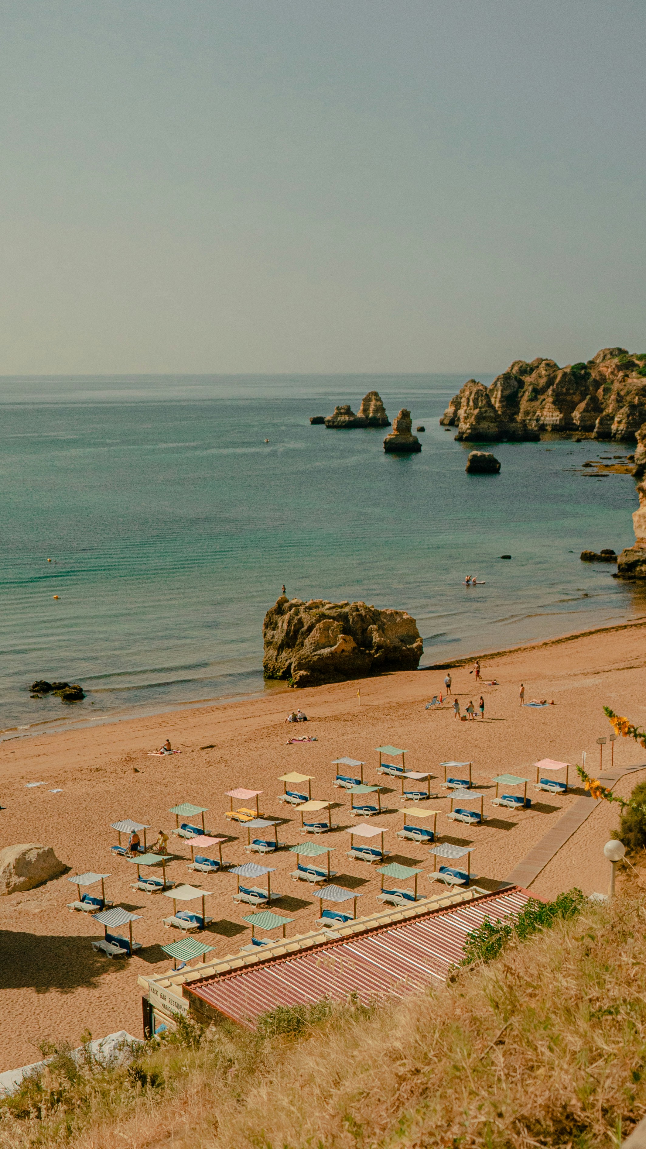 people on beach during daytime