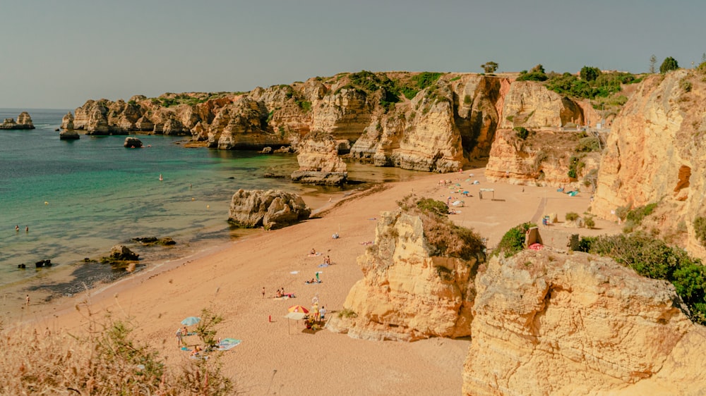 people on beach during daytime