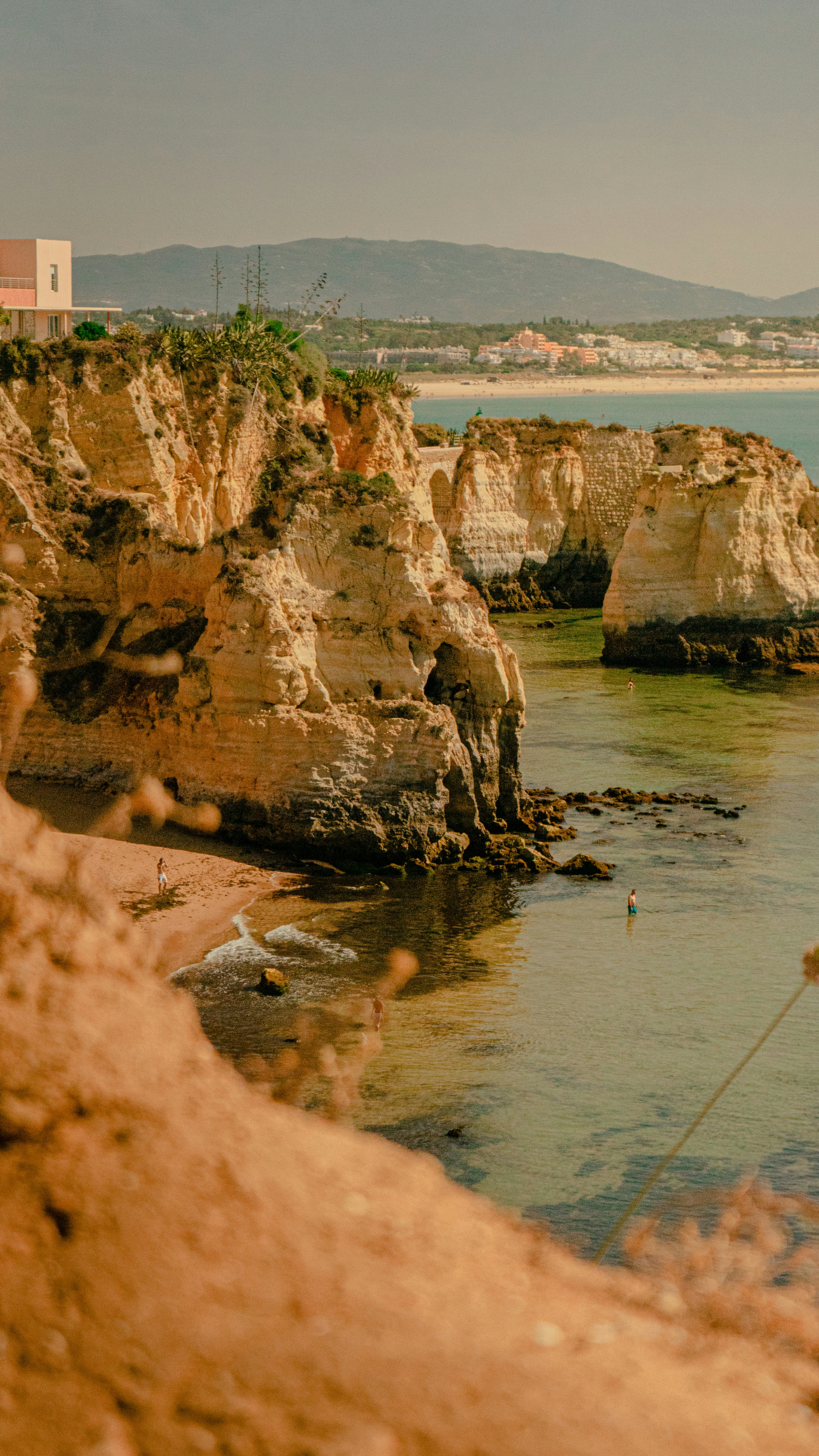 people on beach during daytime