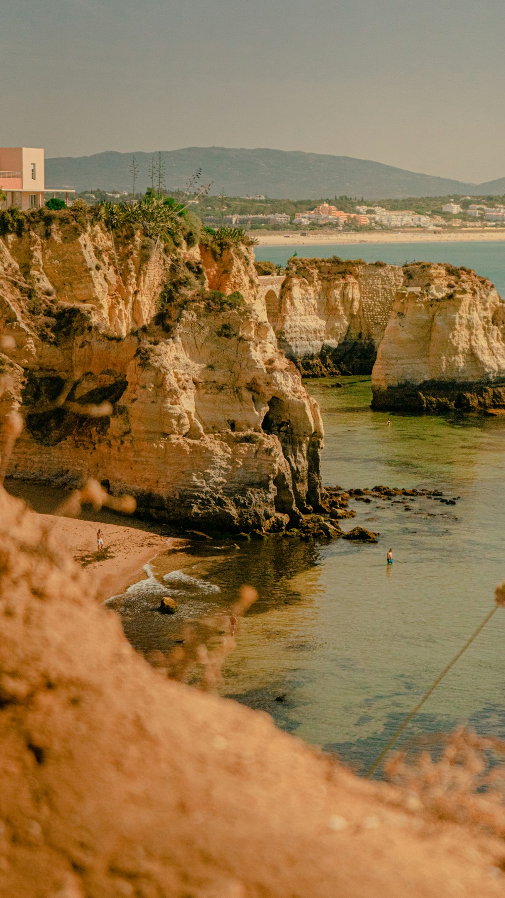 people on beach during daytime