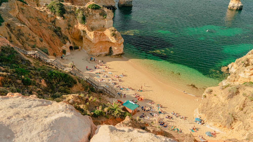 people on beach during daytime