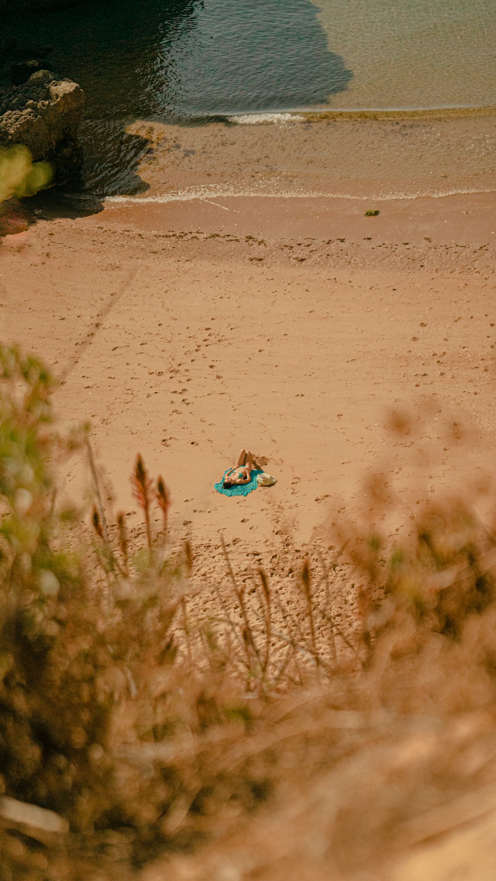 green grass on brown sand during daytime