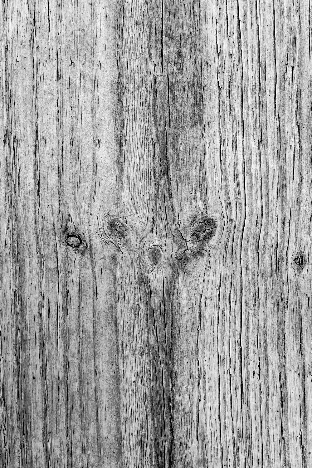 grayscale photo of wood plank