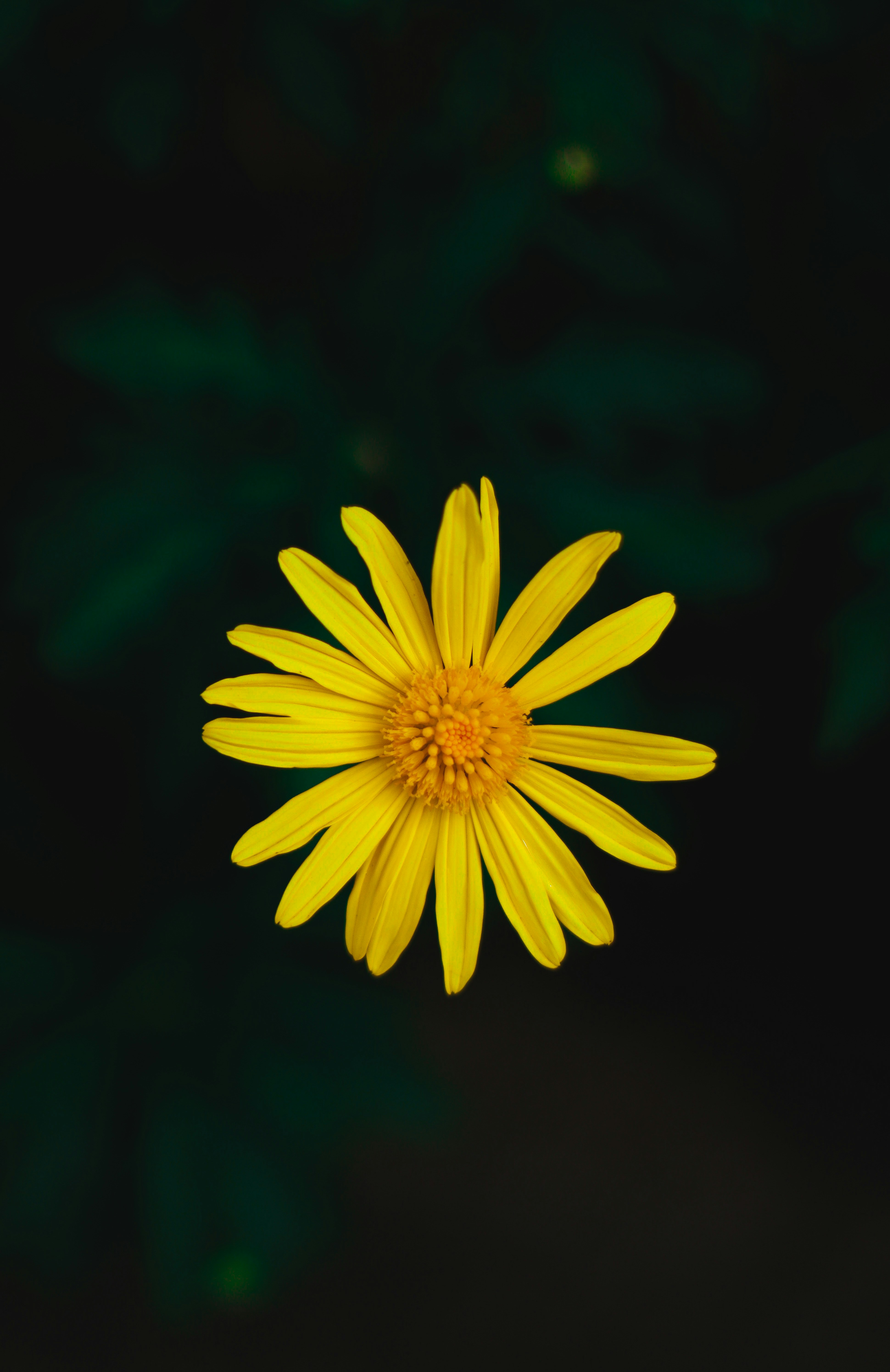 Photo by gabrielfotos