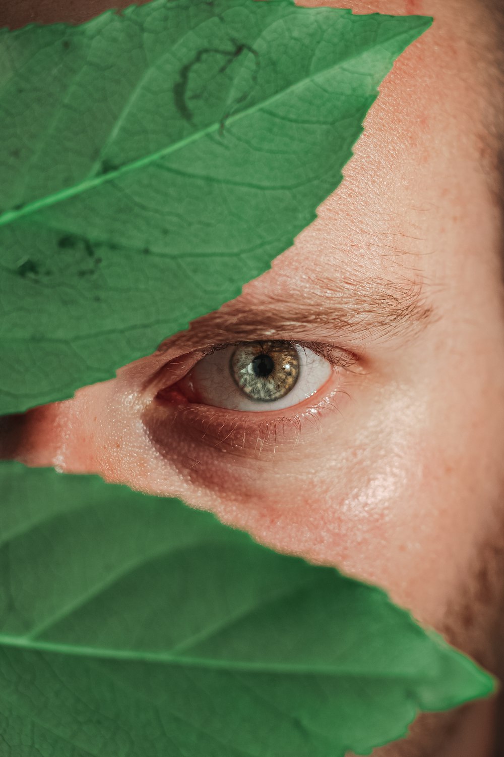 persons eye with green leaves
