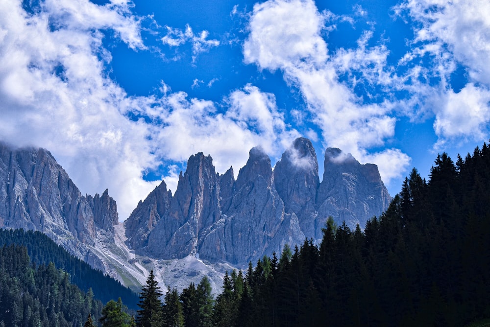 green trees near mountain under blue sky and white clouds during daytime