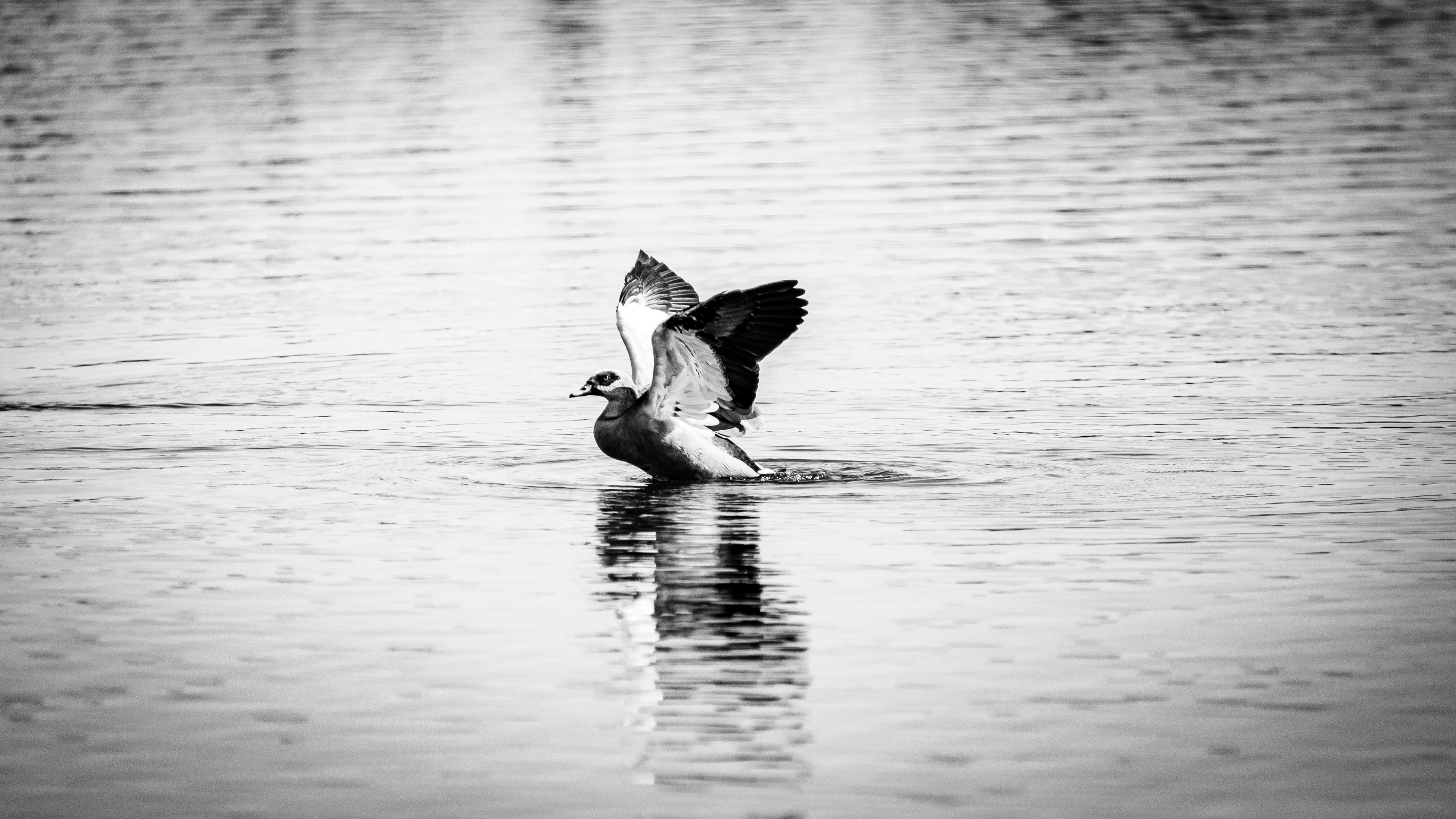 Photo by stewardesign