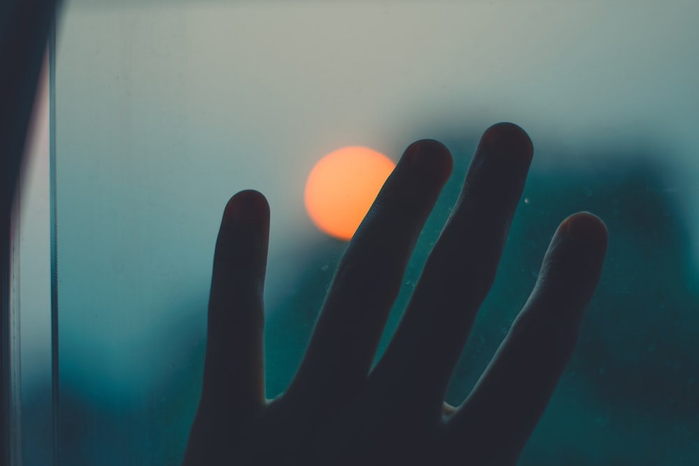Persons hand with light photo – Free Hand Image on Unsplash