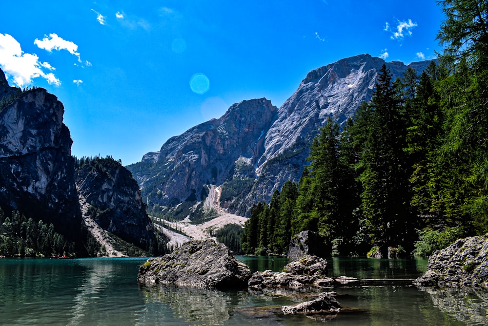 green pine trees near rocky mountain during daytime