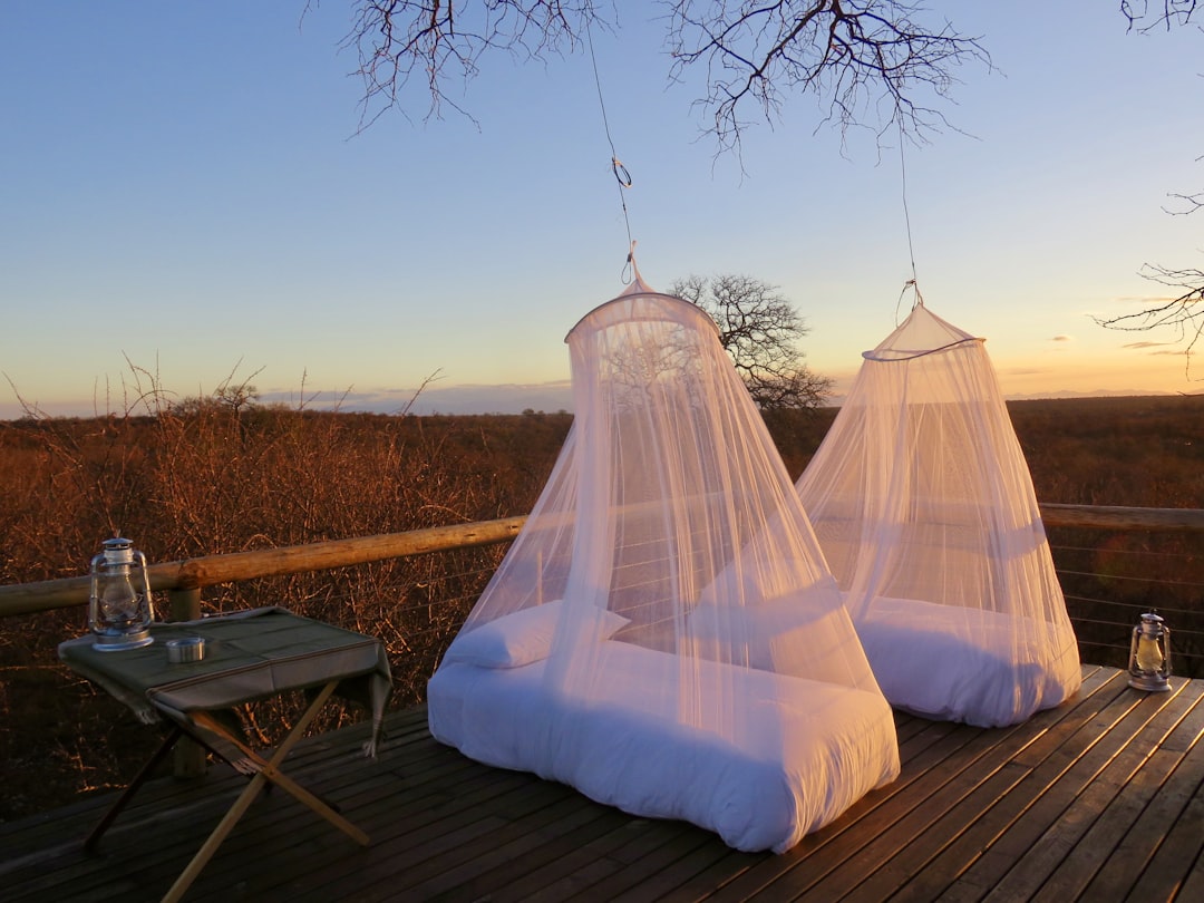 white mesh net on brown wooden floor, Sleeping under the stars in a wildlife private game reserve