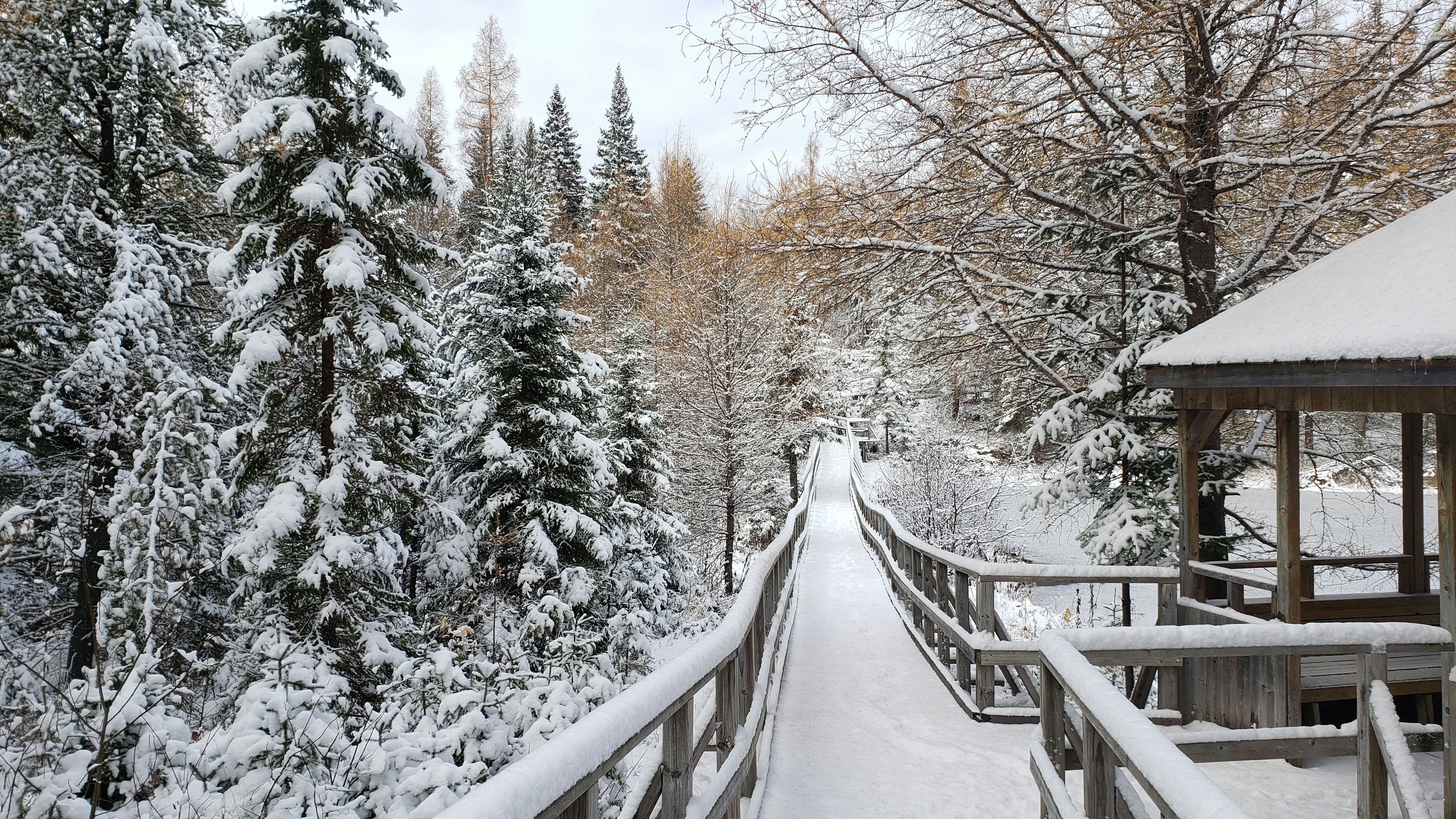 Photo by patpatpatte