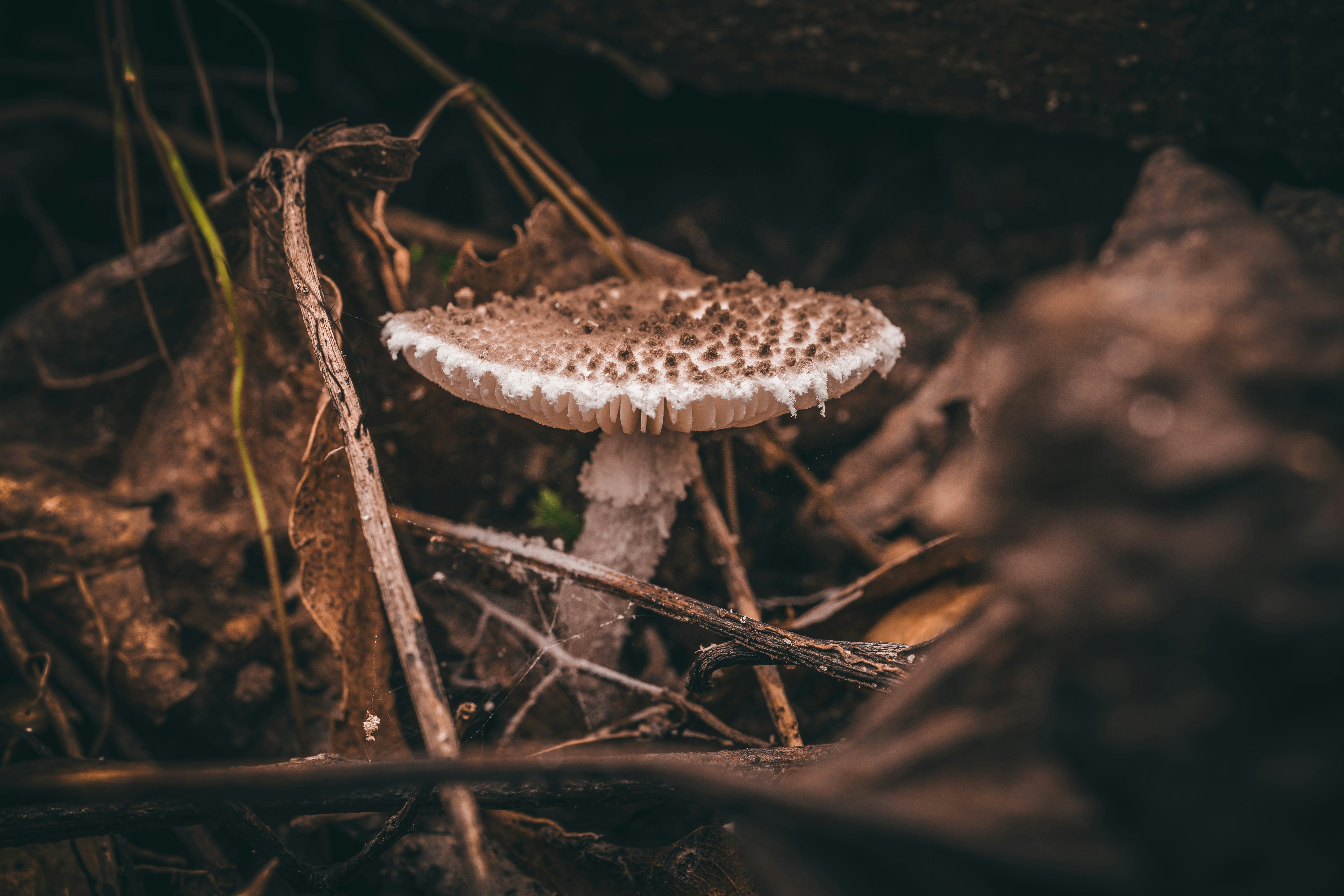 Photo by timothycdykes