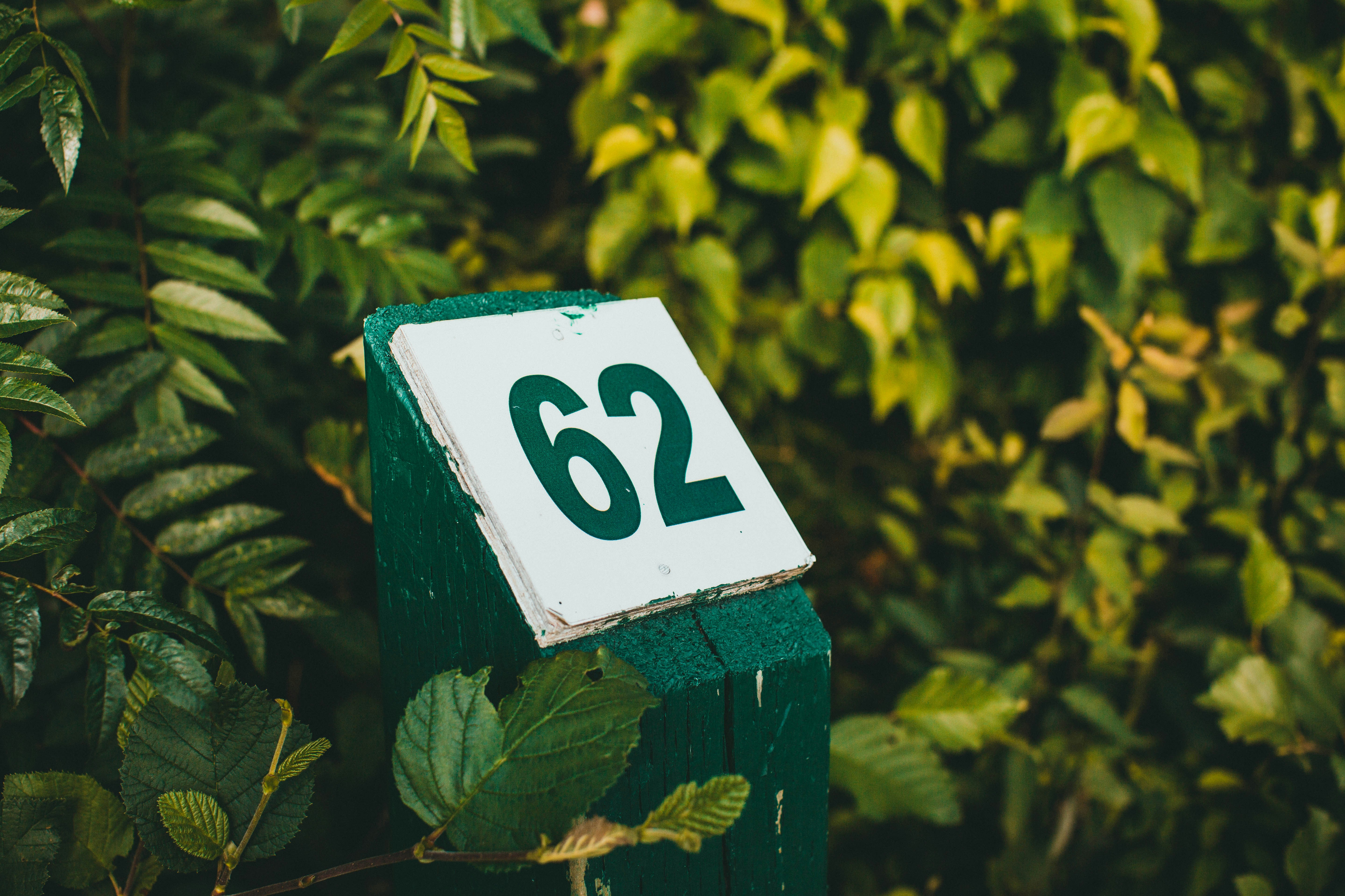 Photo by theshuttervision