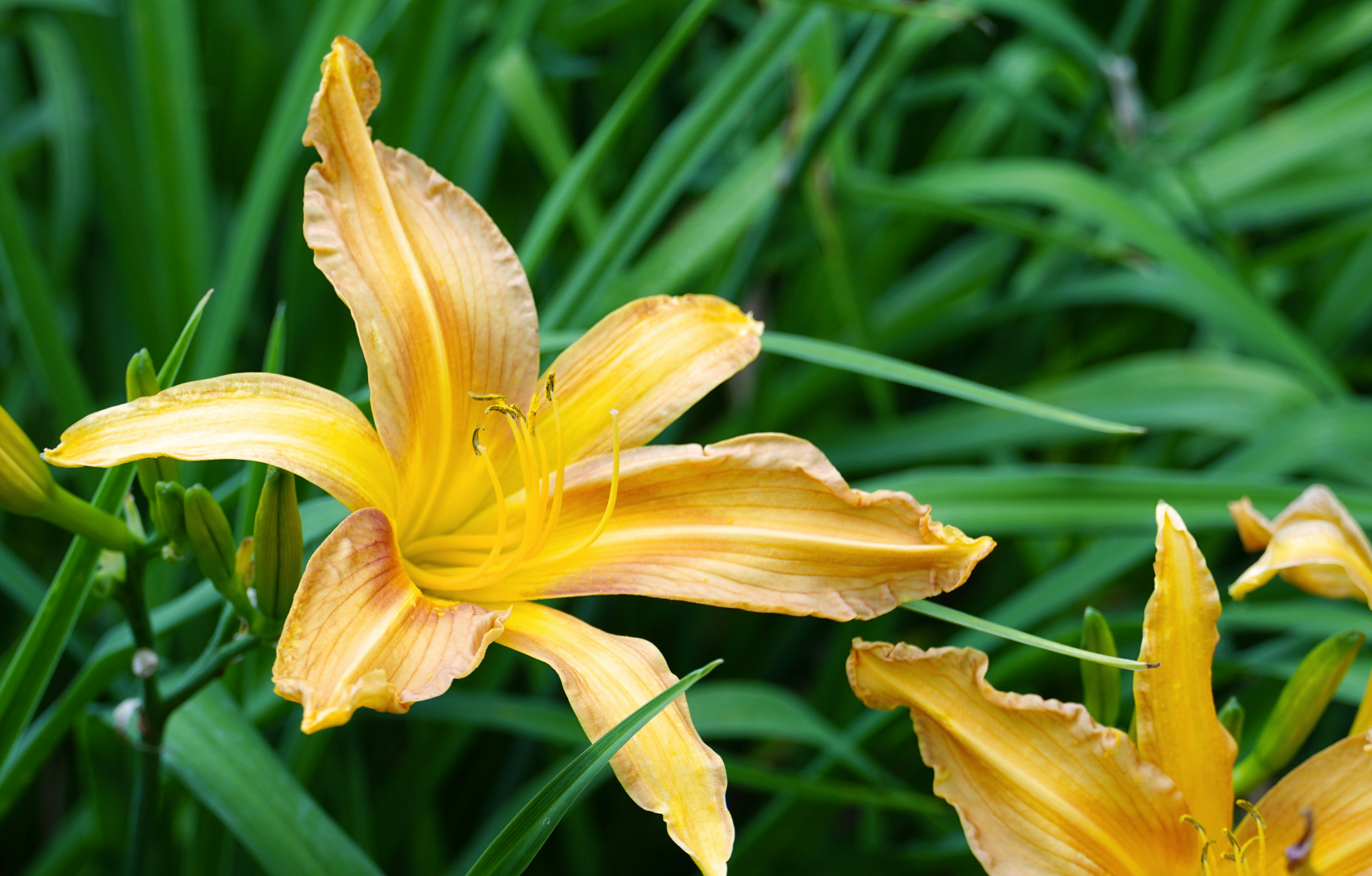 Photo by patpatpatte