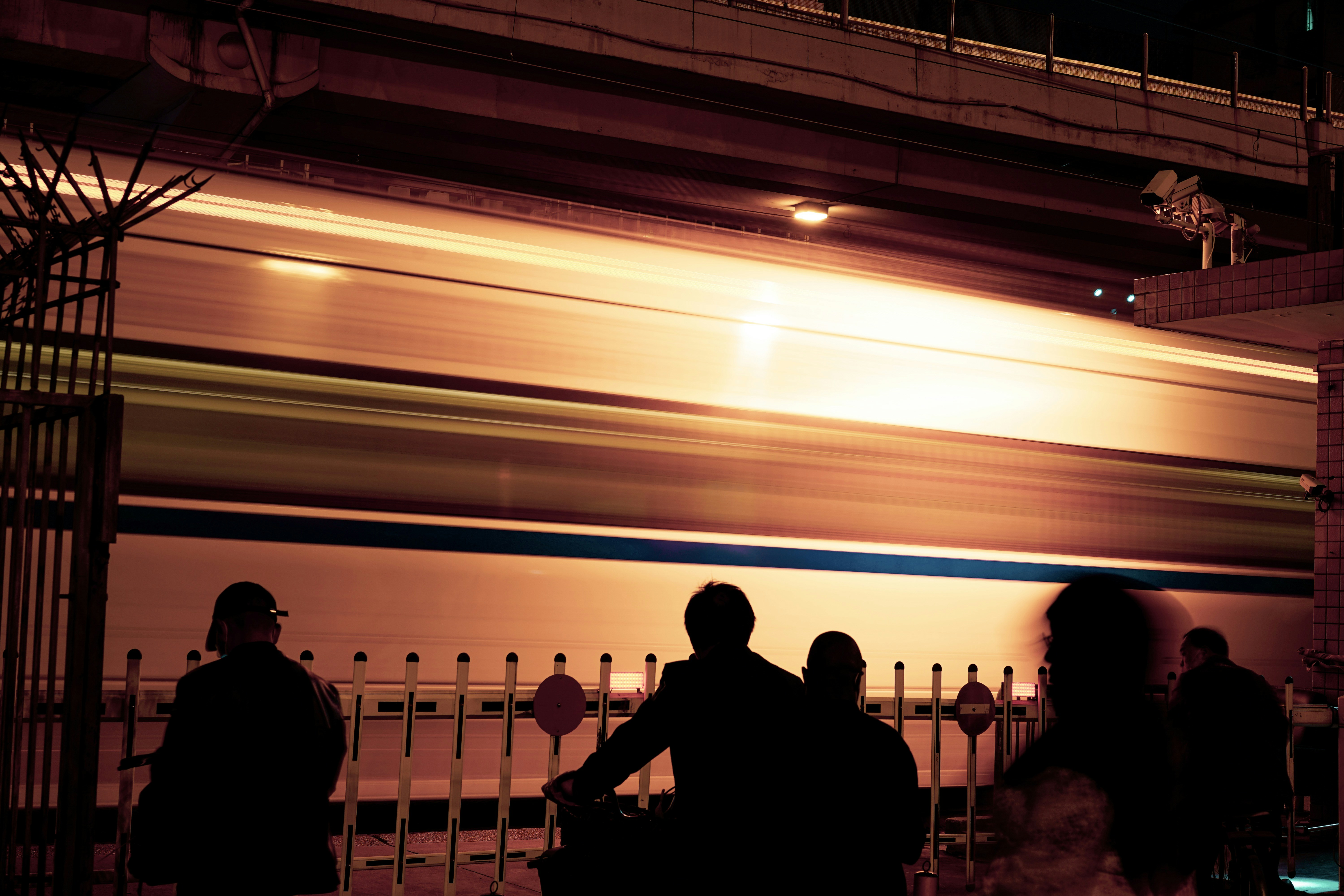 Linking Zoopharmacognocy with Ethnomedication, an Evidence Base From Sebangau National Park, Central Kalimantan Indonesia Image