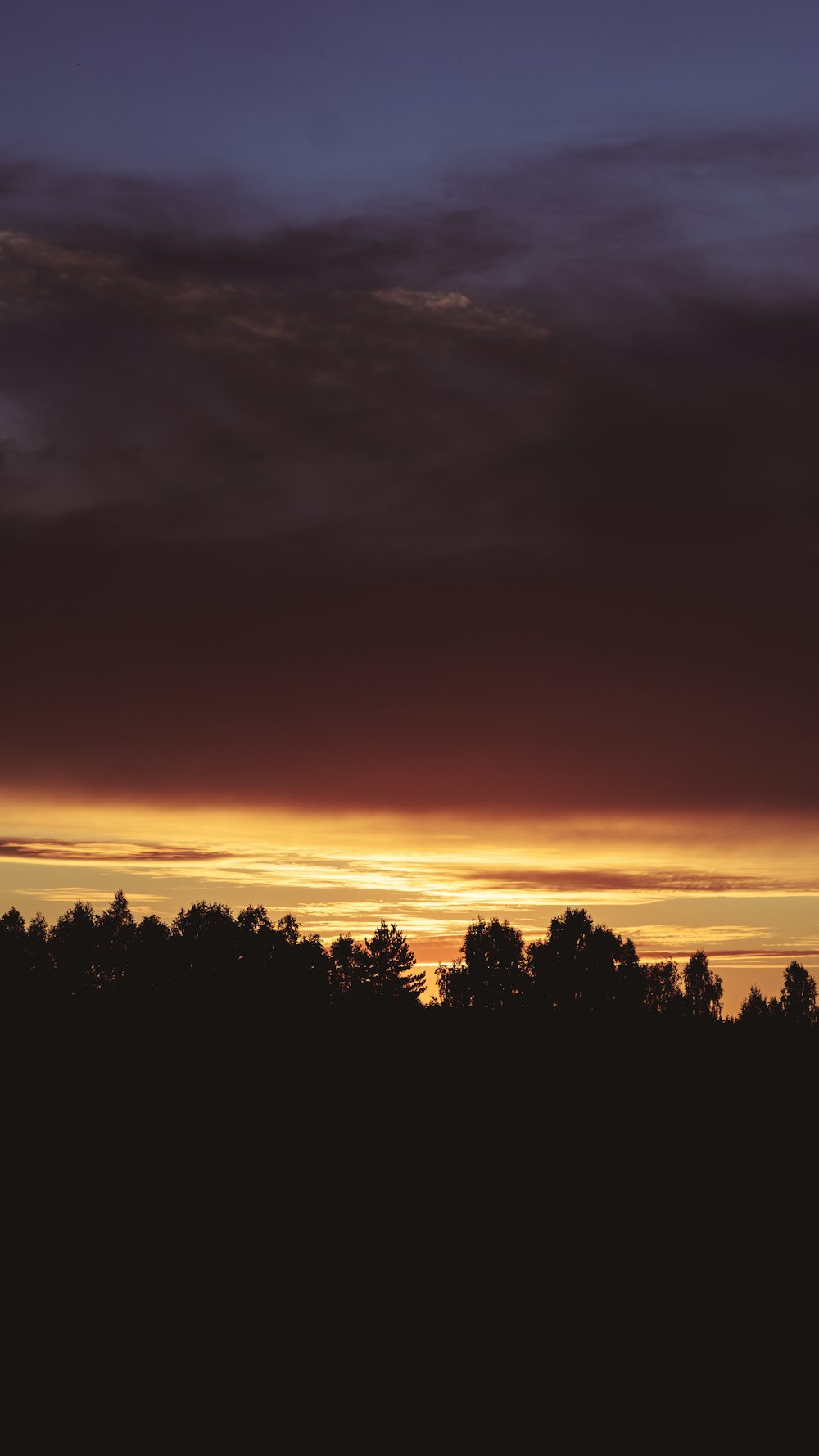 Silueta de árboles durante la puesta del sol