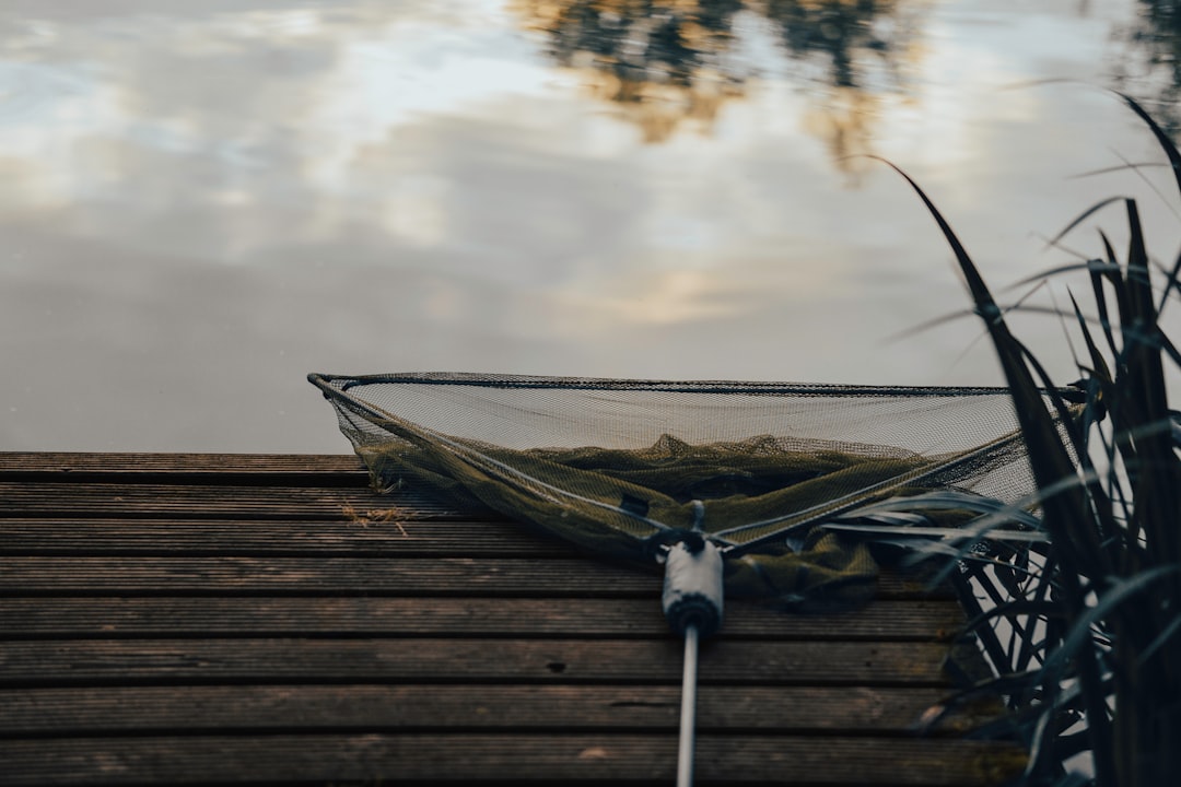 white hammock on brown wooden dock during daytime